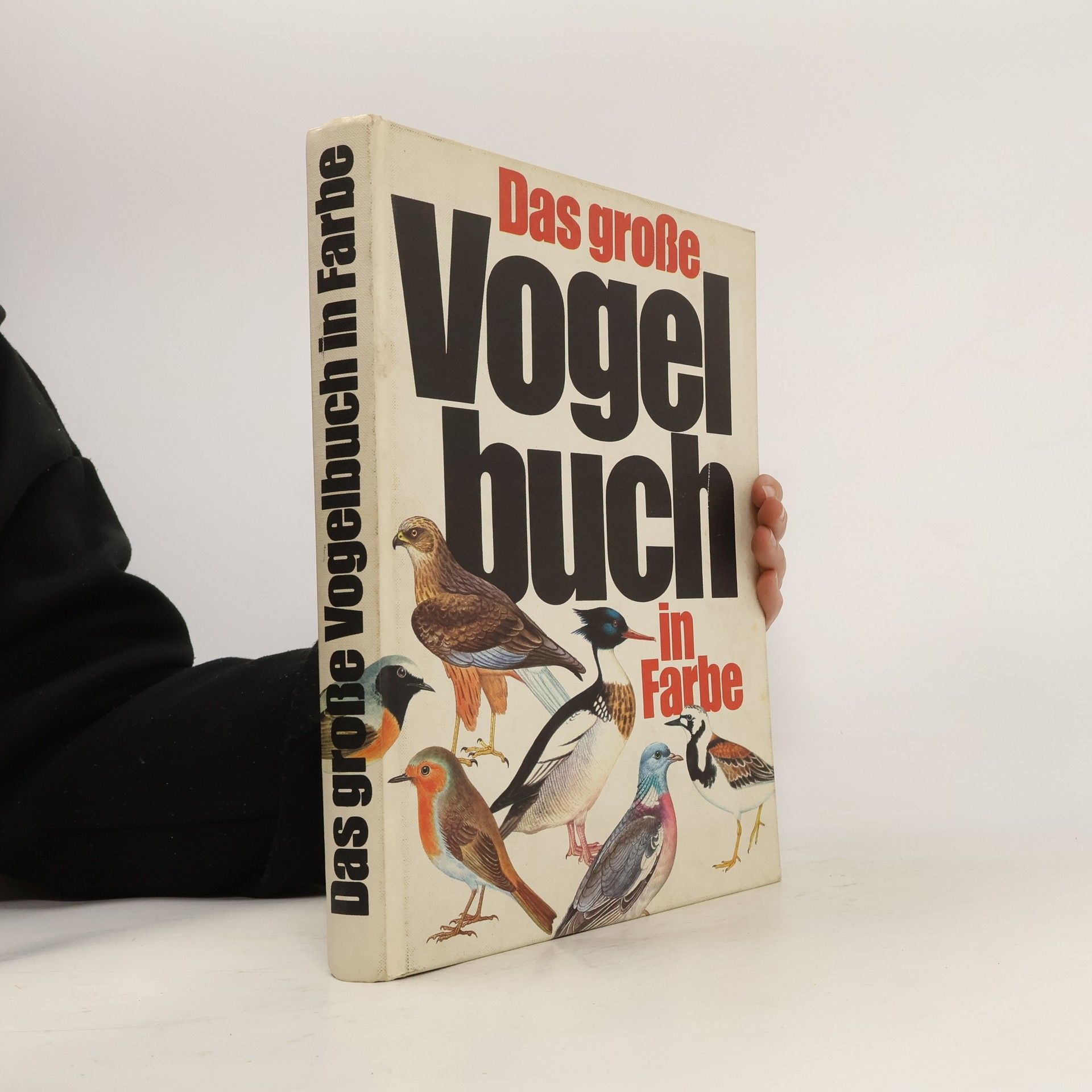 Dr. J. Felix Das große Vogel buch in Farbe