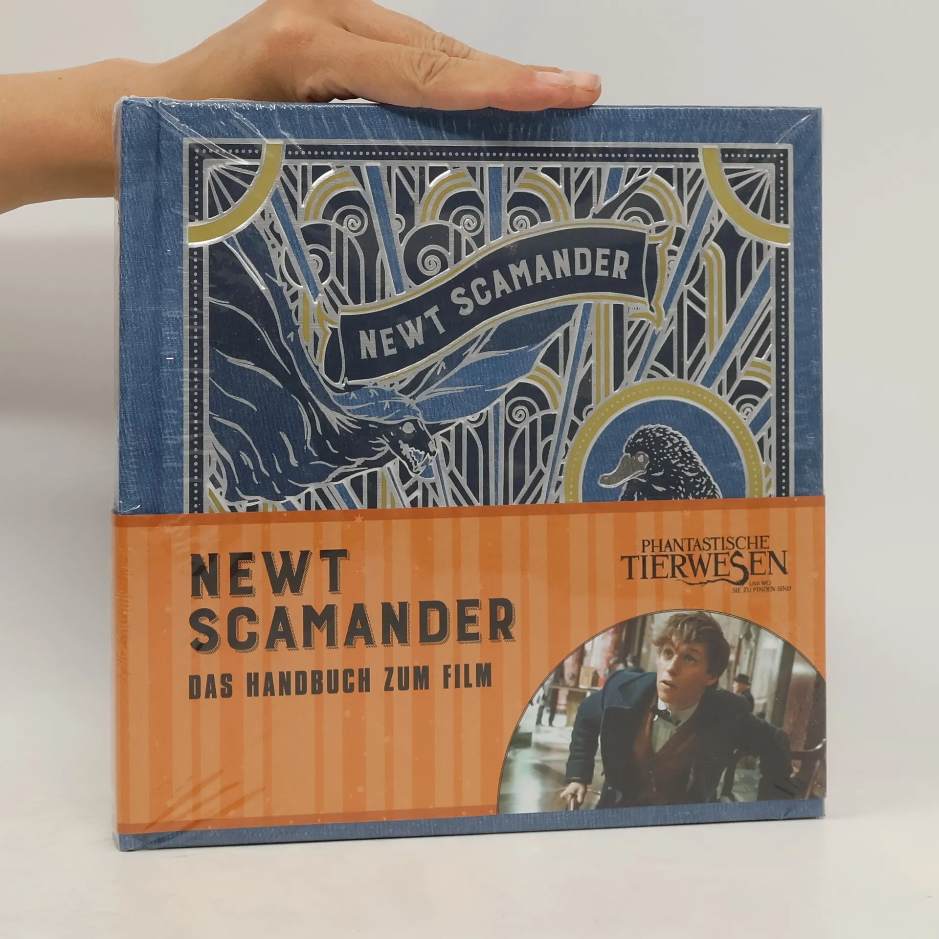 Newt Scamander | Buch | Hardcover | Barbara Knesl