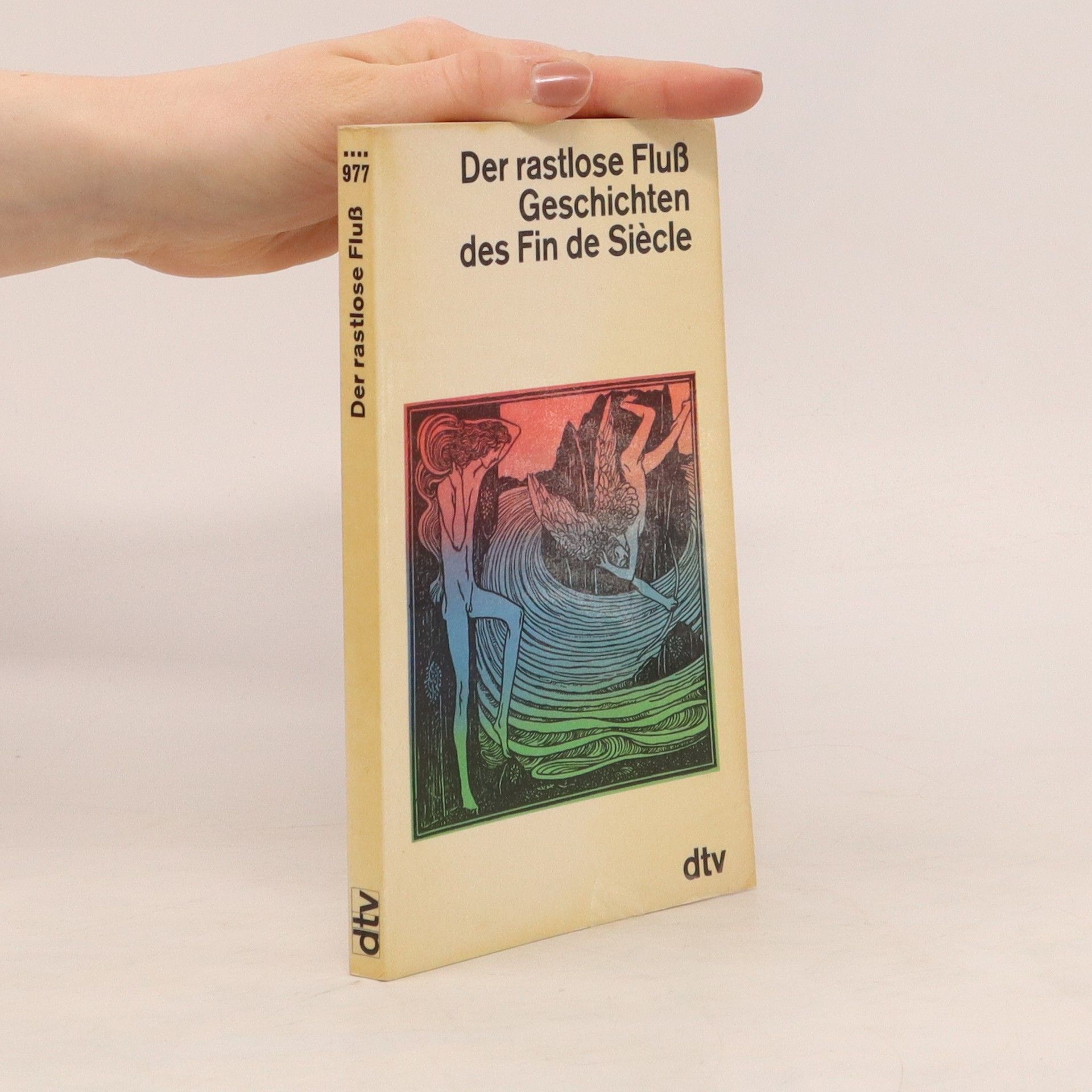 Collectif d'auteurs Der rastlose Fluss. Geschichten des Fin de siècle