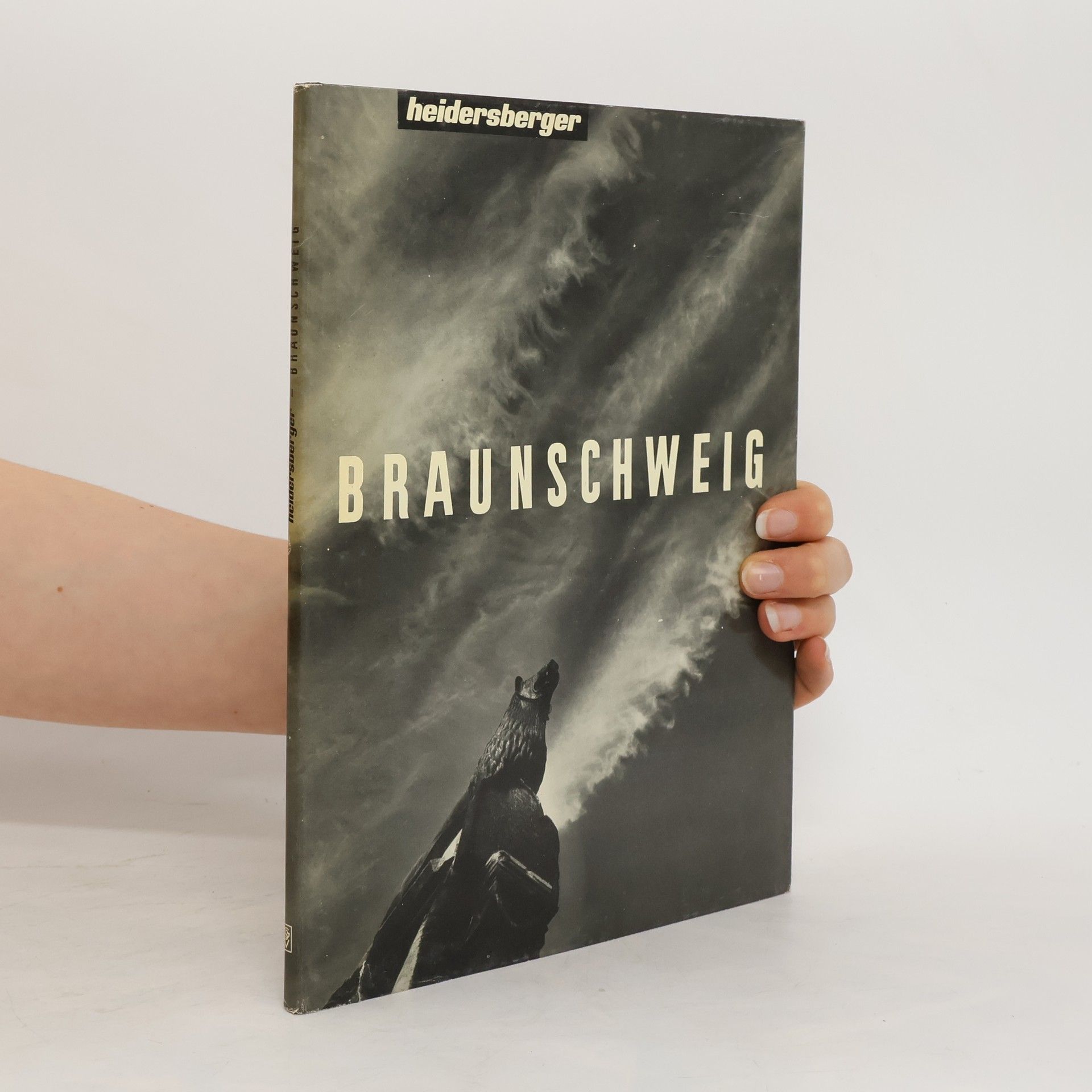 Collectif d'auteurs Braunschweig