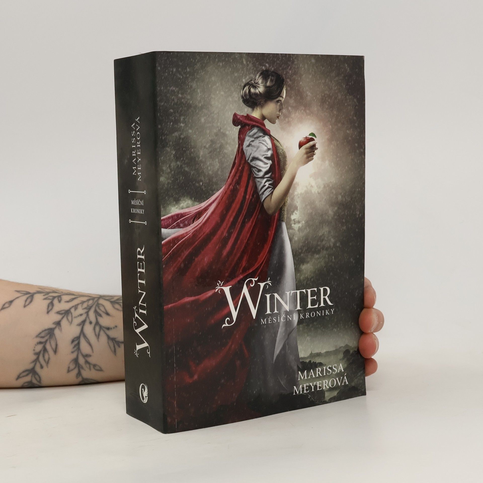 Marissa Meyer Winter - Měsíční kroniky