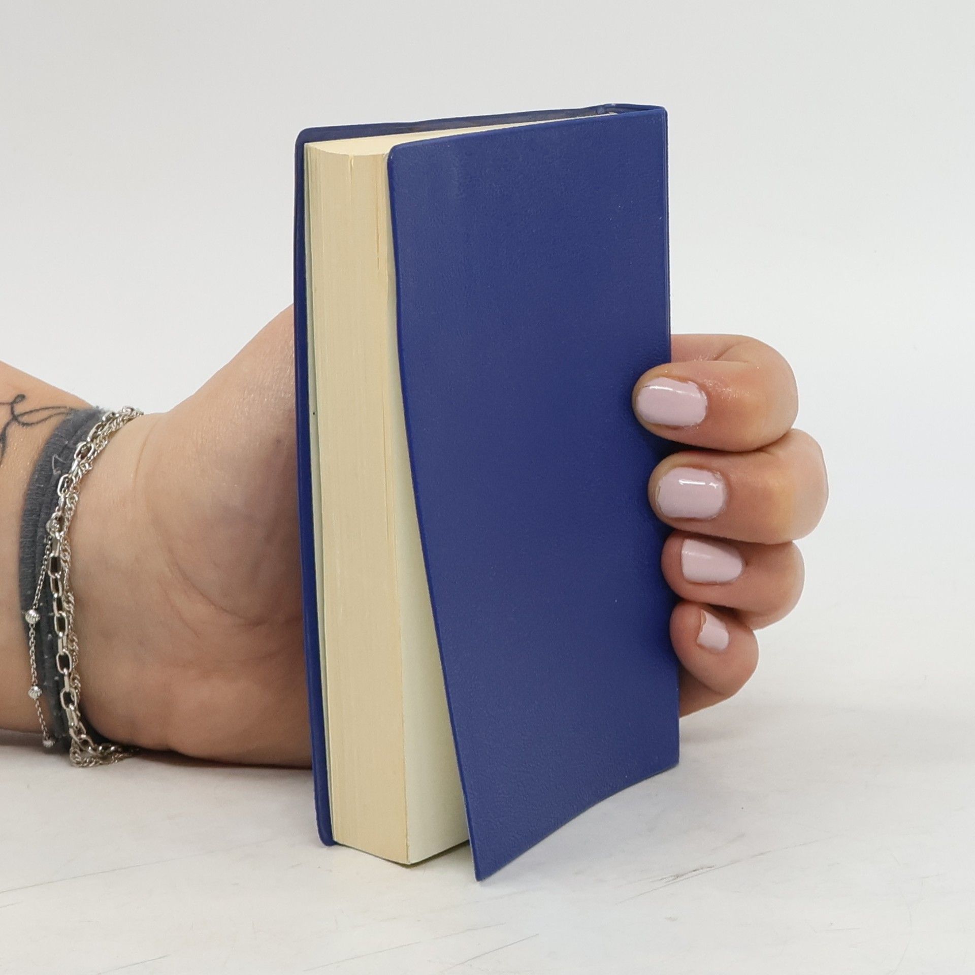 Autorenkollektiv Einheitsübersetzung der Heiligen Schrift. Das Neue Testament