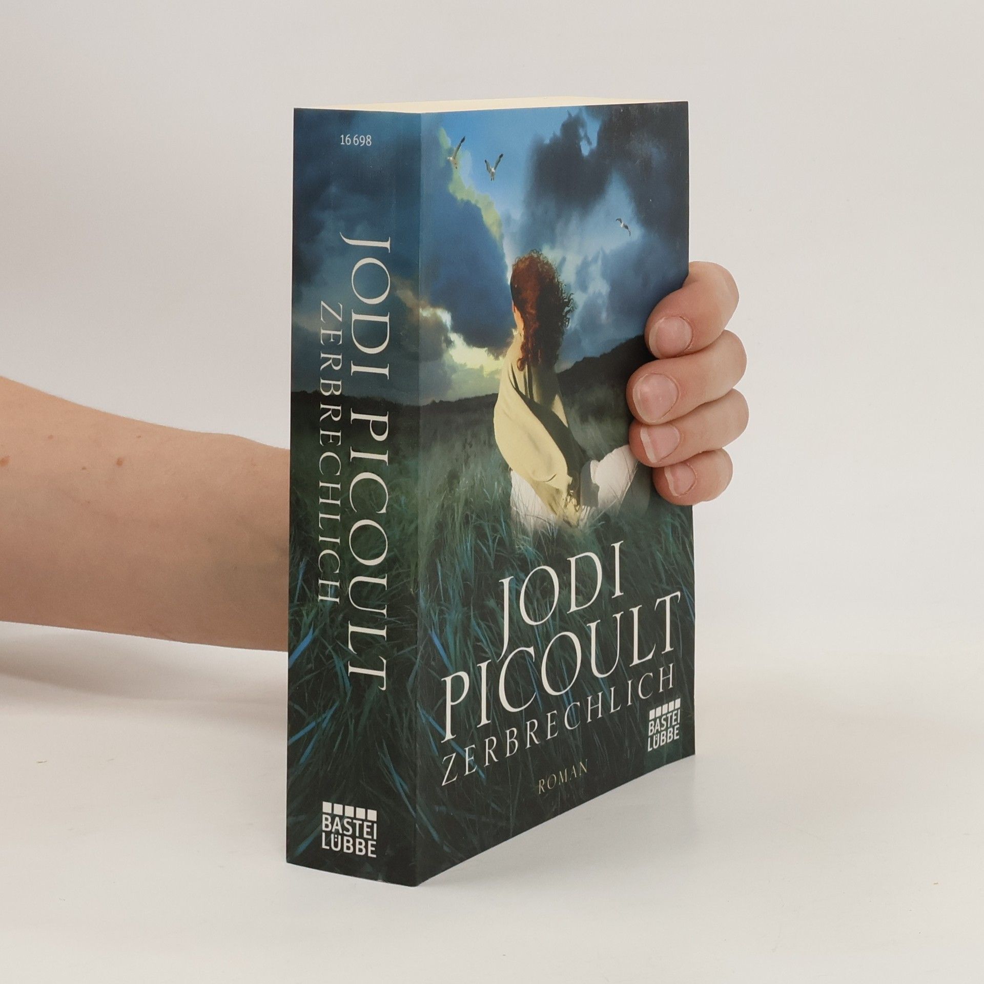 Jodi Picoult Zerbrechlich