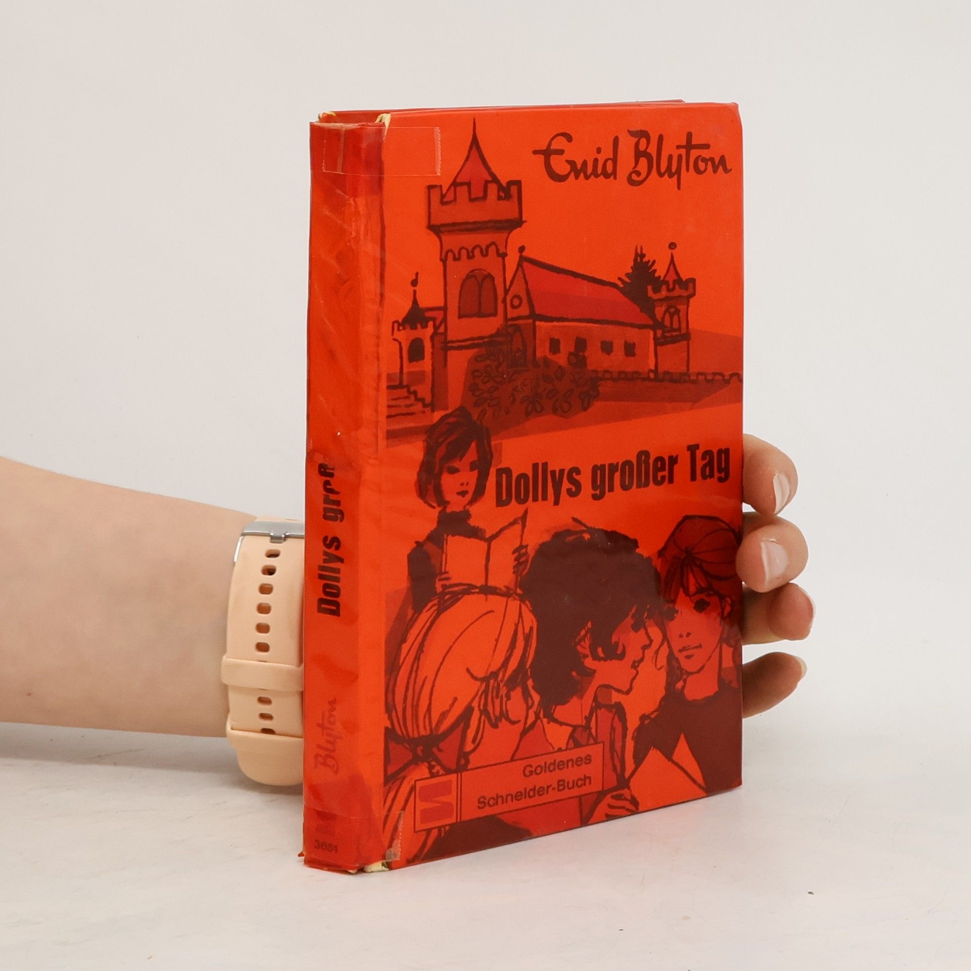 Enid Blyton Dollys großer Tag