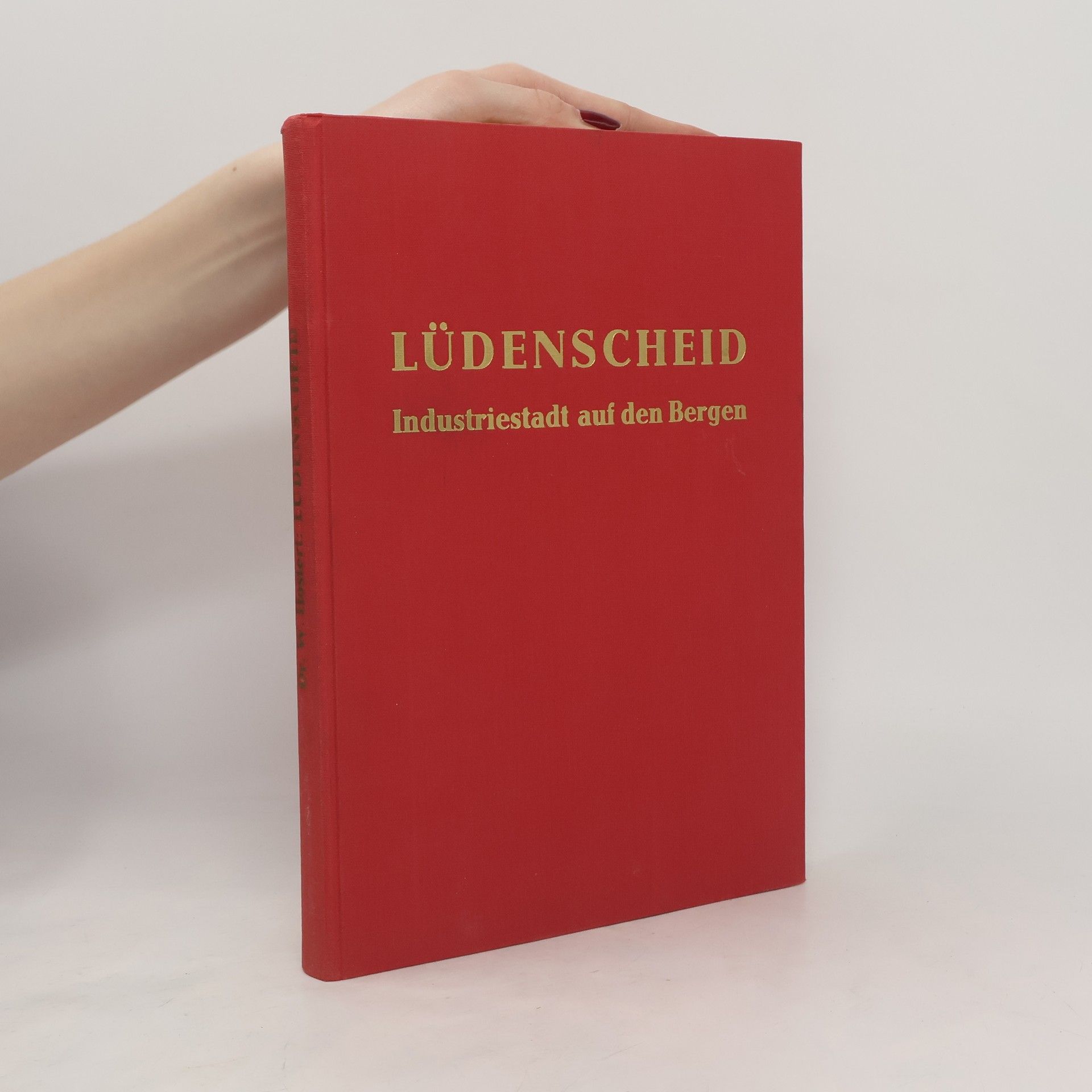 Autorenkollektiv Lüdenscheidt. Industriestadt auf den Bergen