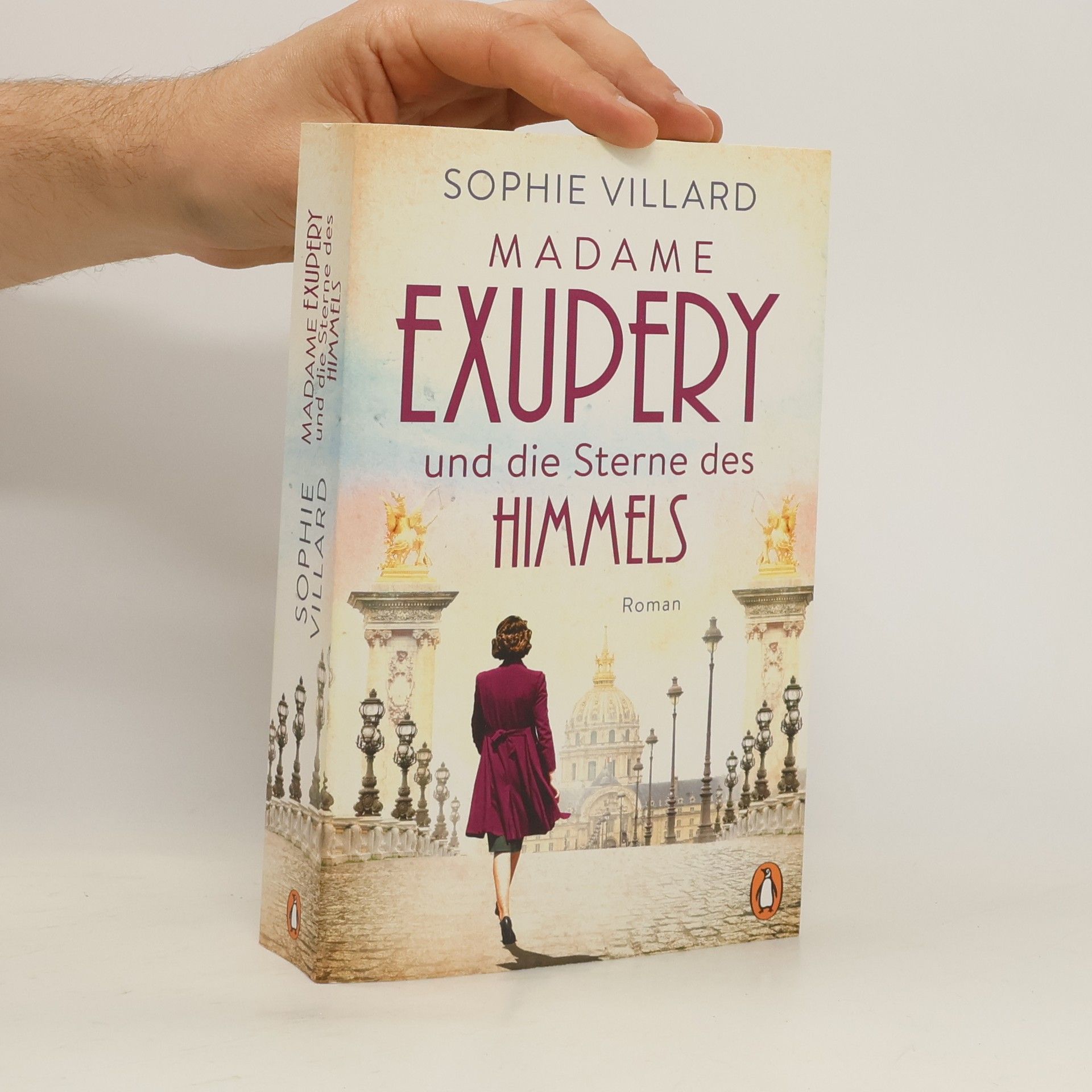 Sophie Villard Madame Exupéry und die Sterne des Himmels