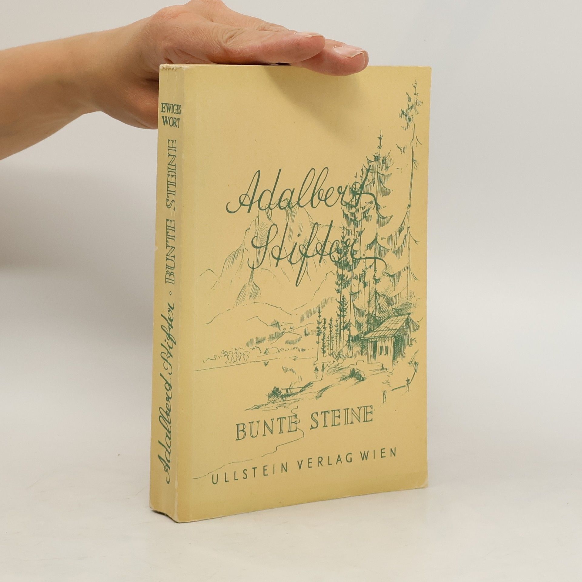 Adalbert Stifter Bunte Steine