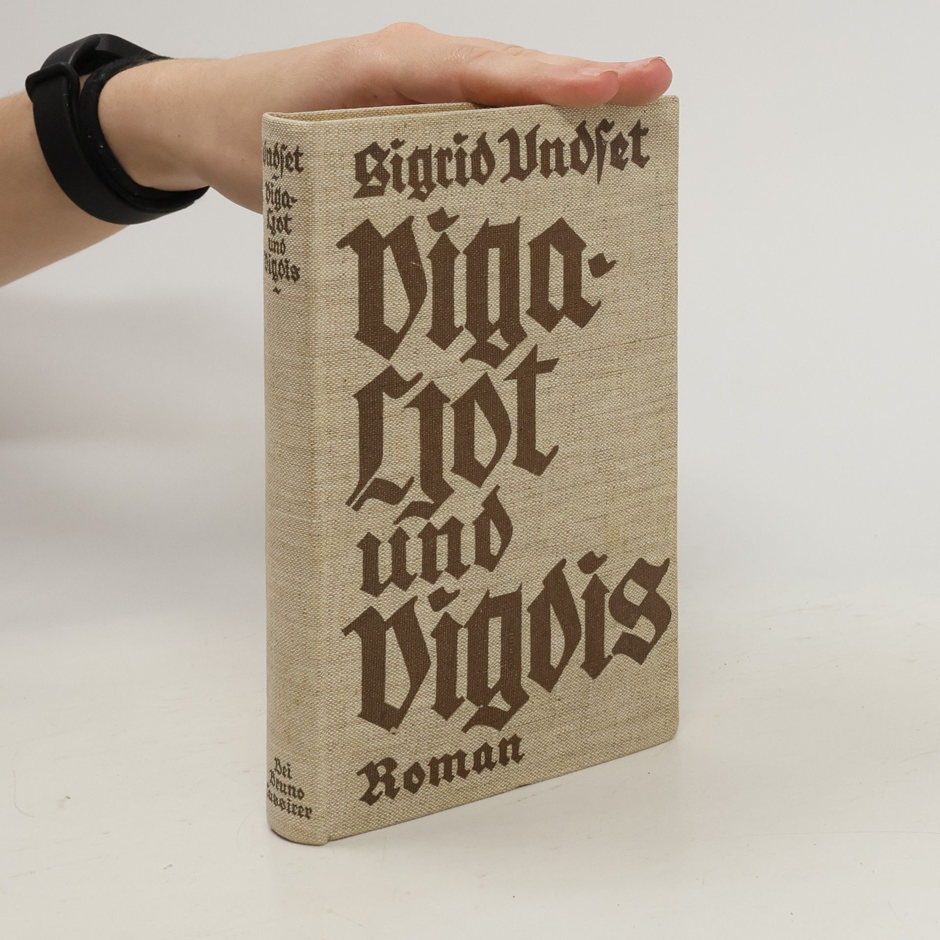 Sigrid Undset Viga-Ljot und Vigdis