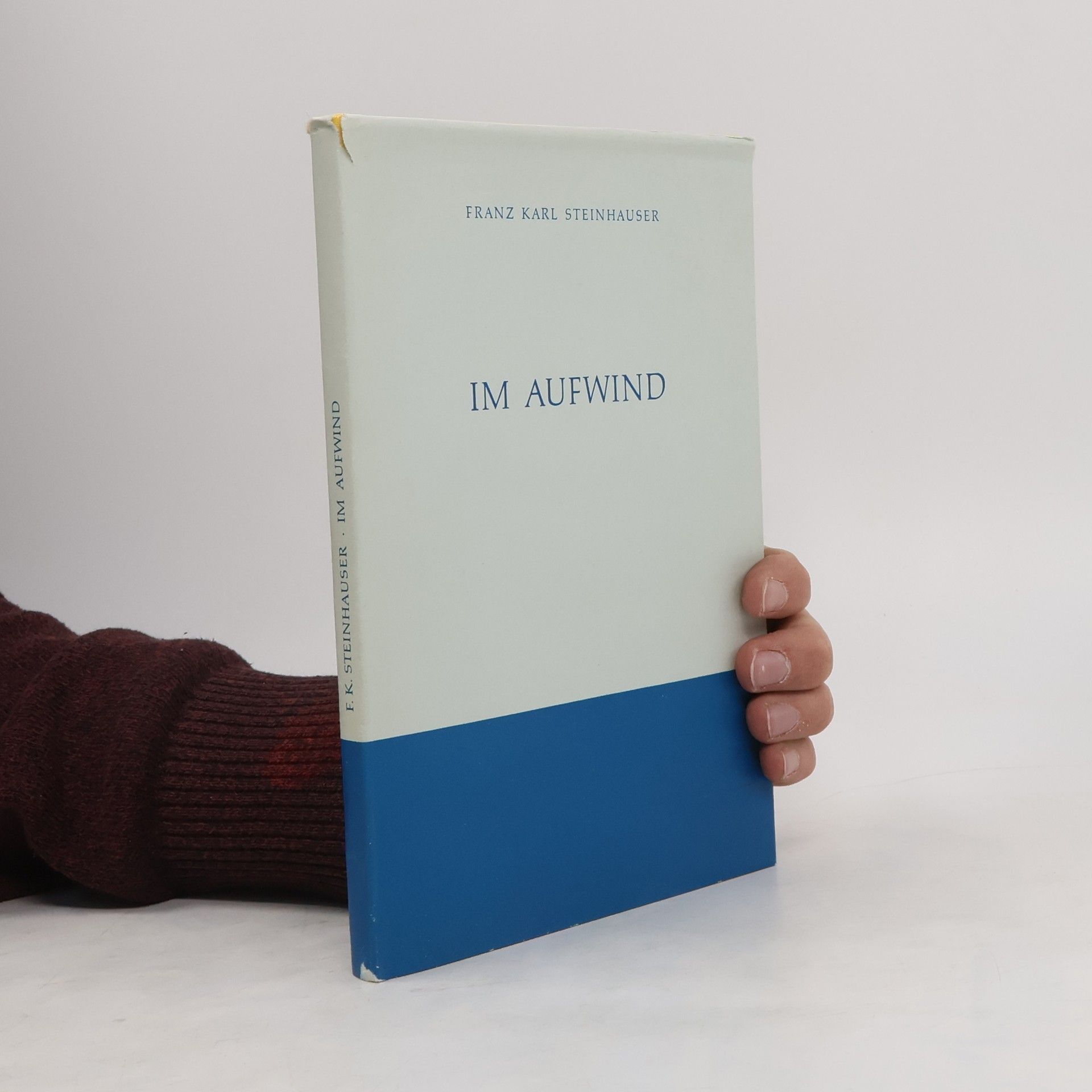 Franz Karl Steinhauser Im Aufwind