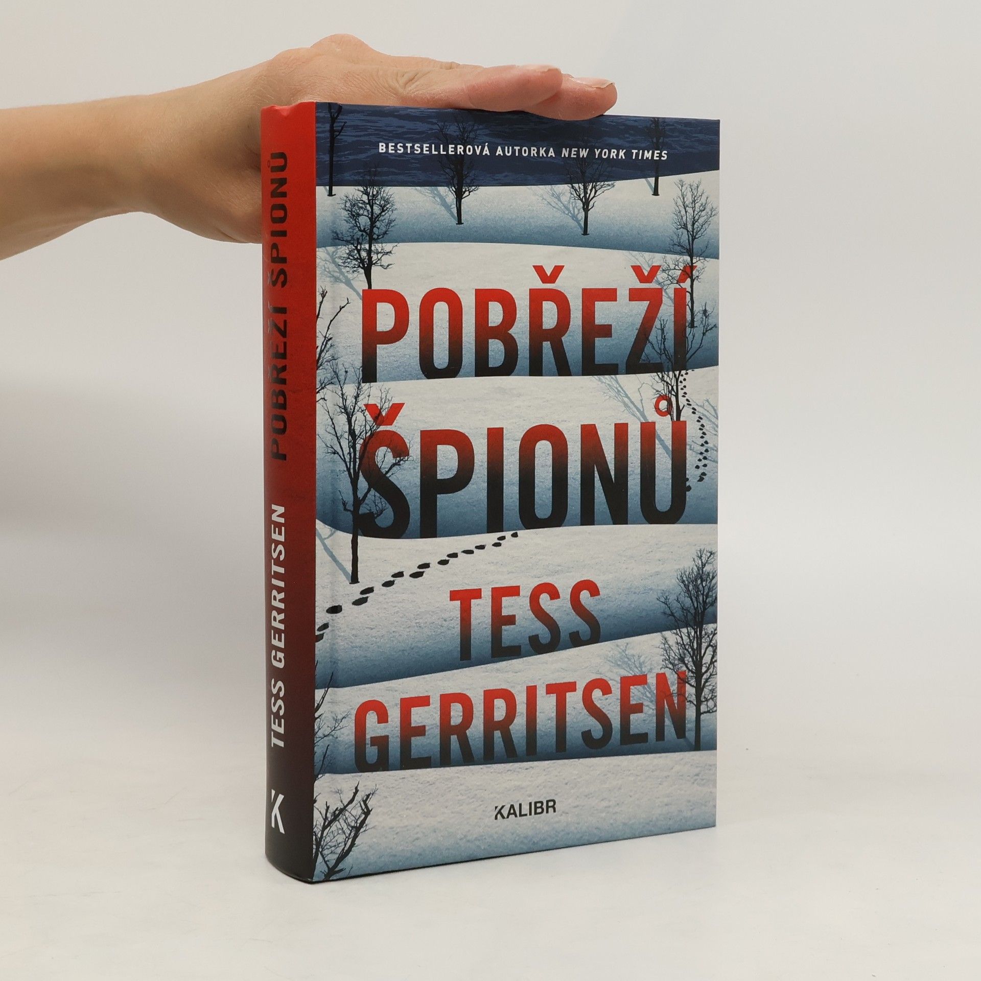 Tess Gerritsen Pobřeží špionů