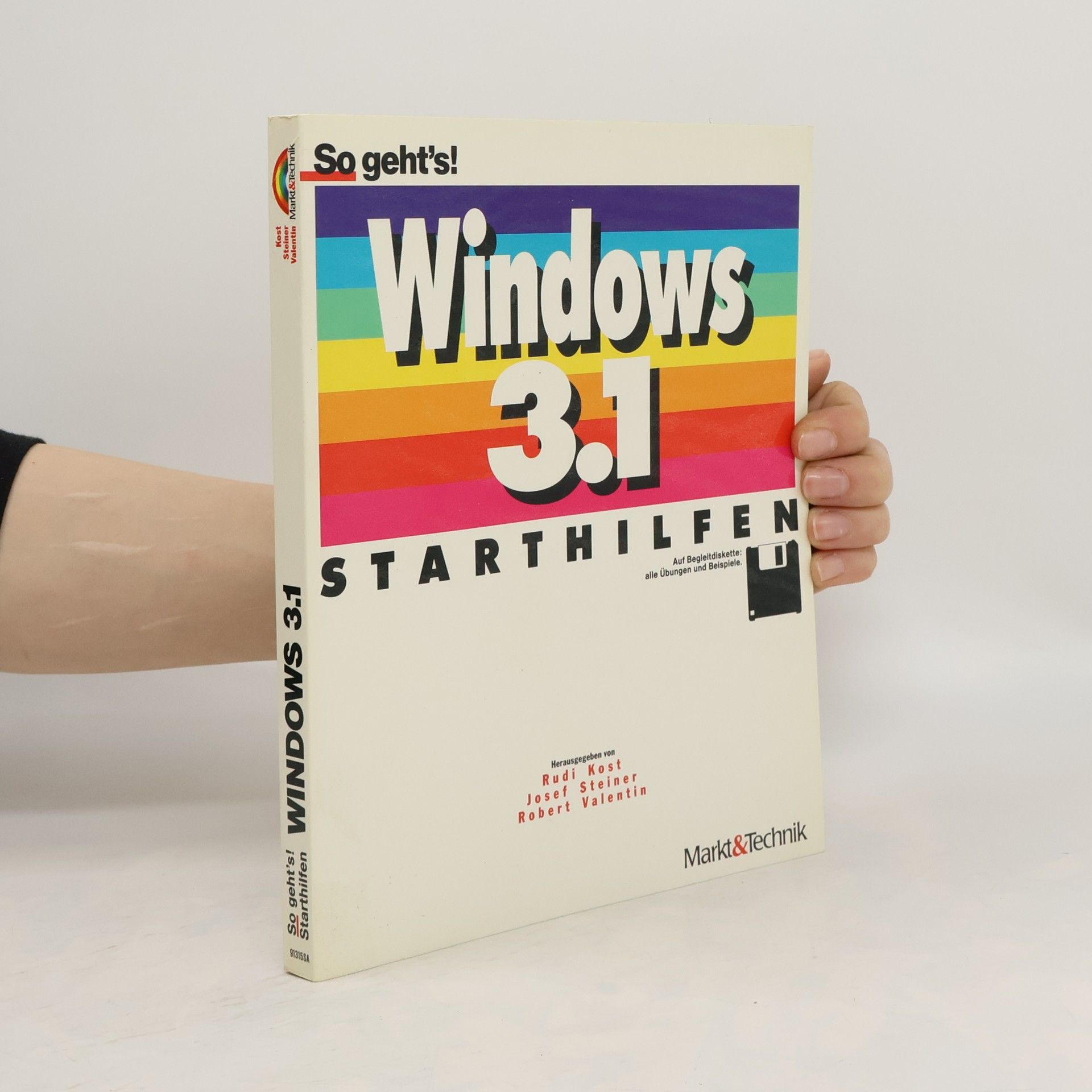 Rudi Kost Windows, Version 3.1 - Starthilfen