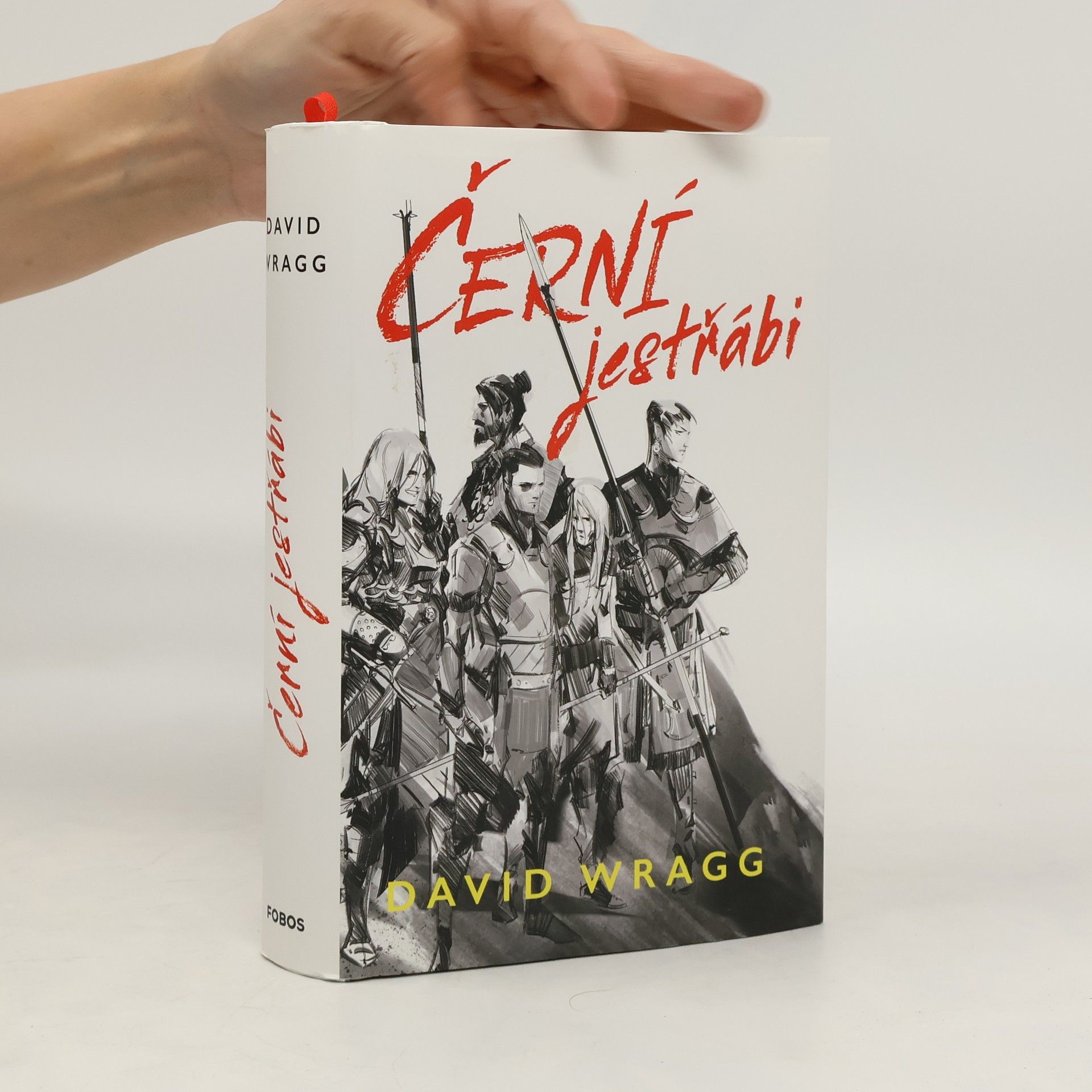 David Wragg Černí jestřábi