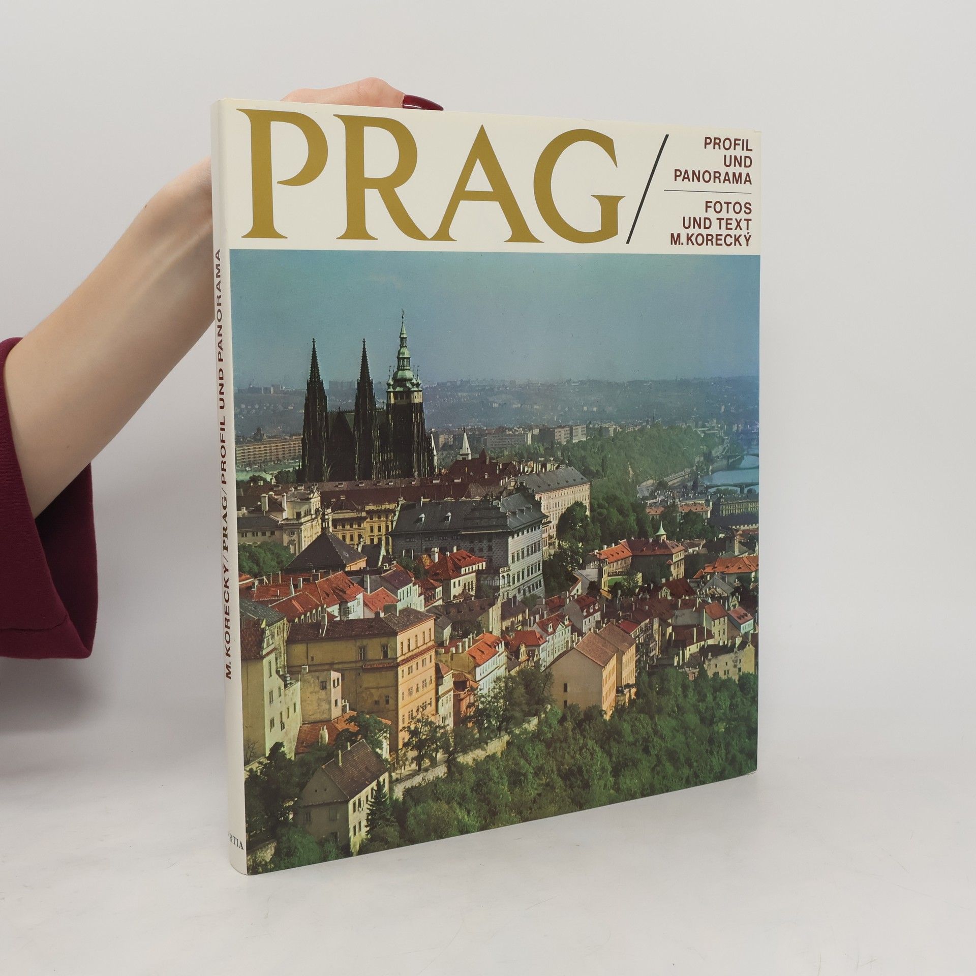 Miroslav Korecký Prag. Profil und Panorama