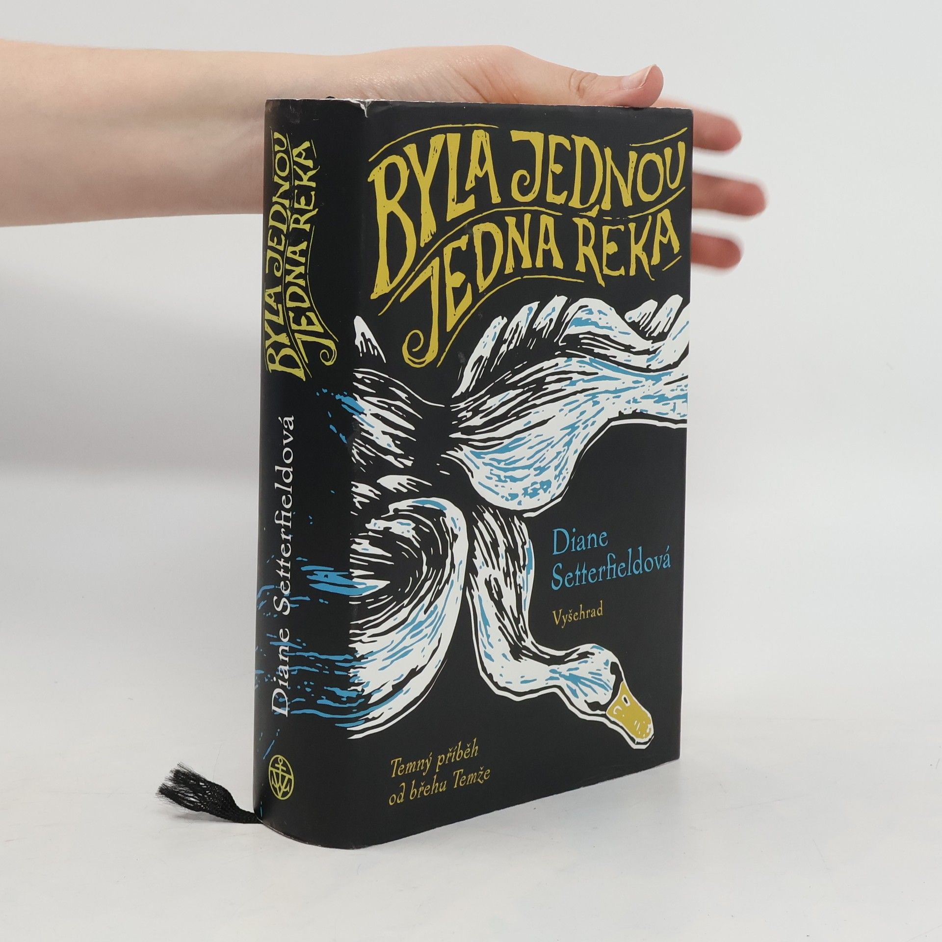 Diane Setterfield Byla jednou jedna řeka