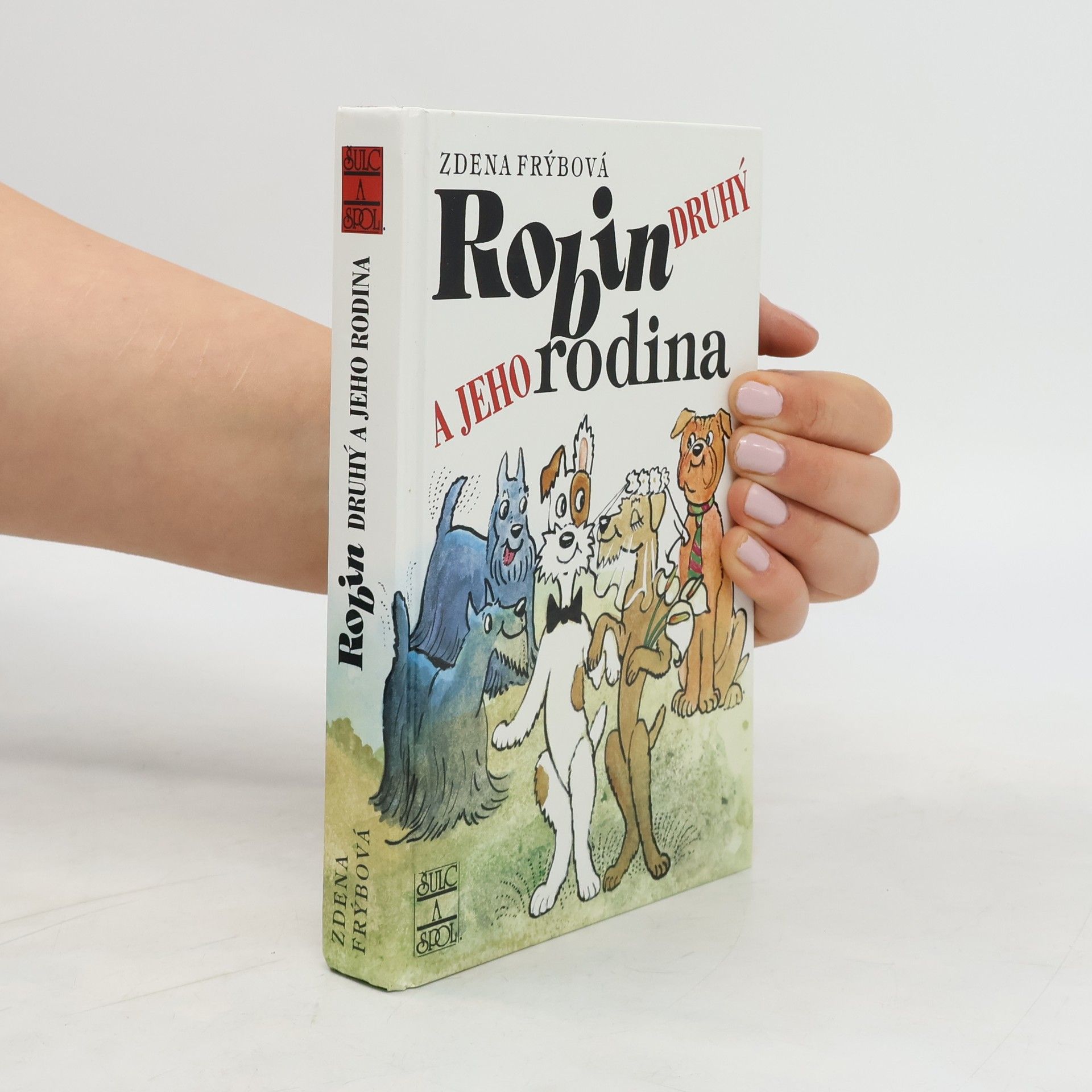 Zdena Frýbová Robin Druhý a jeho rodina