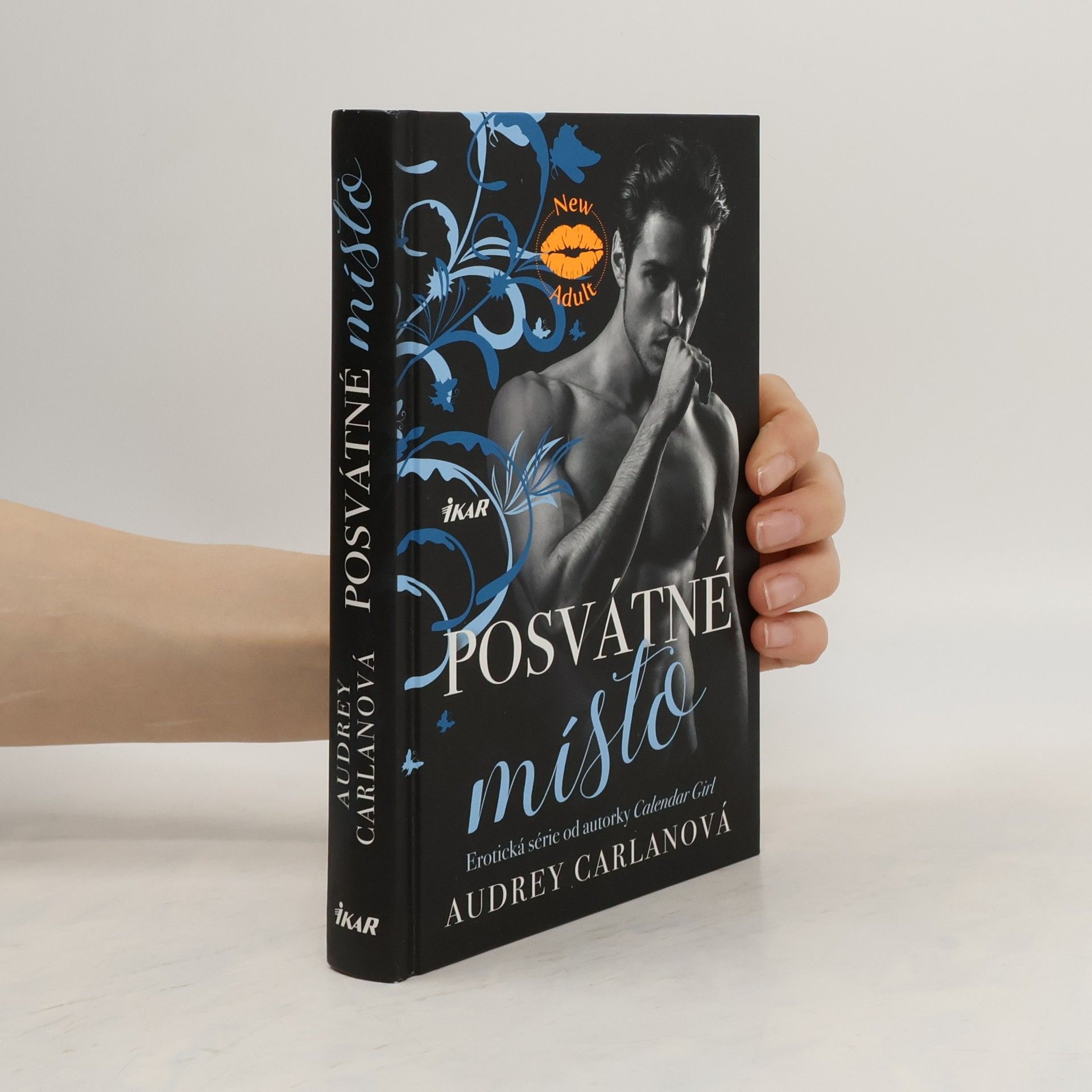 Audrey Carlan Posvátné místo