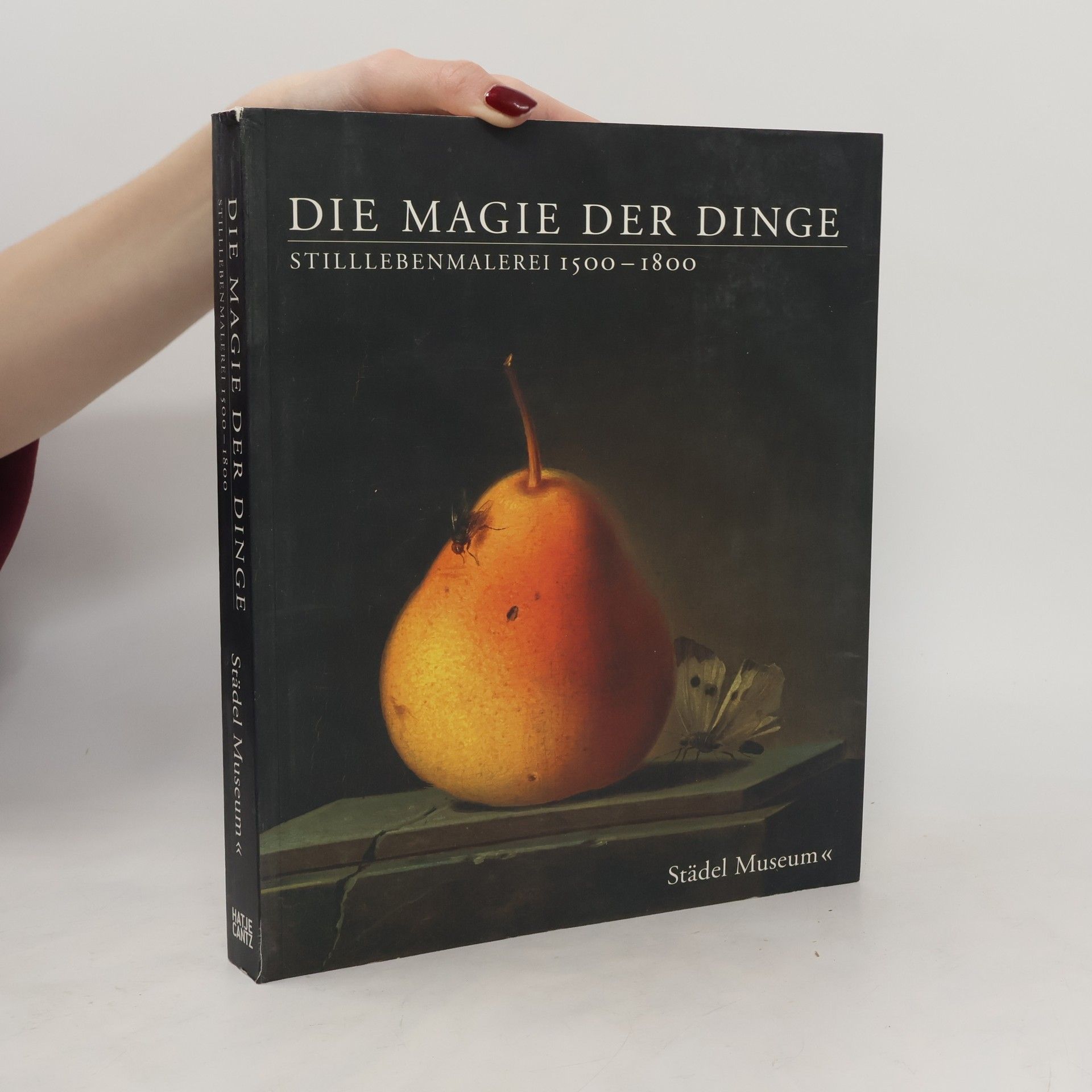 Kolektiv autorů Die Magie der Dinge