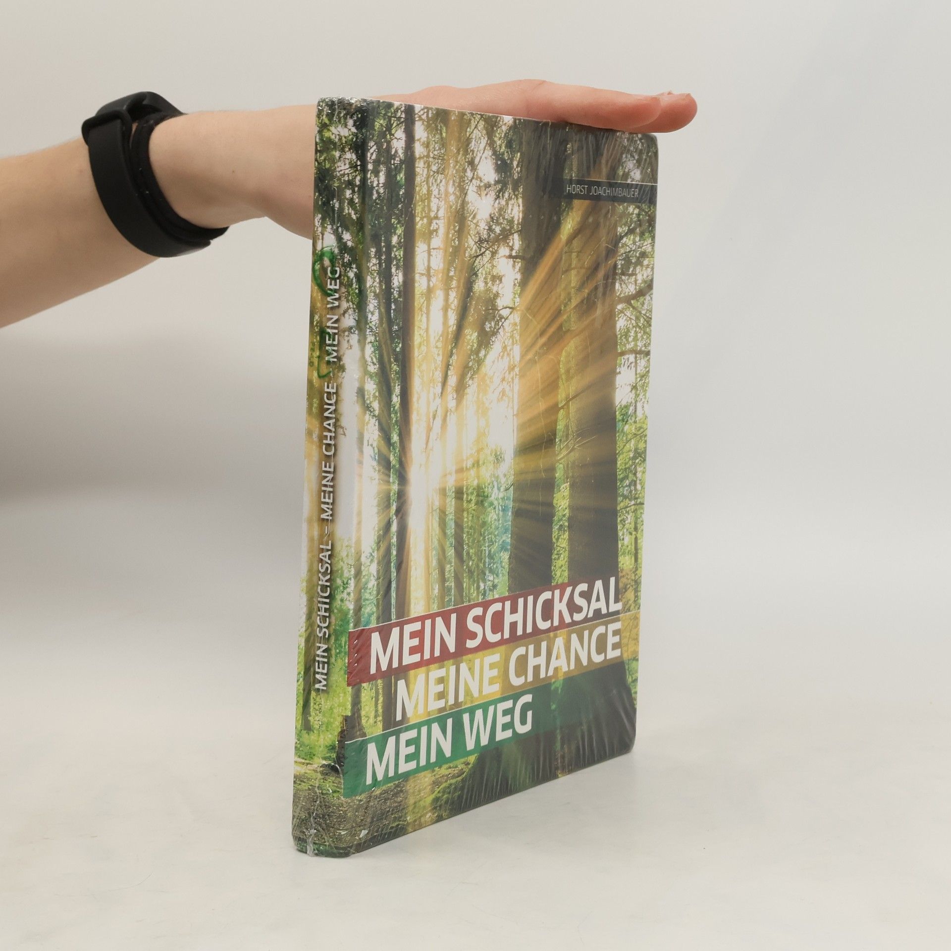Horst Joachimbauer Mein Schicksal, meine Chance, mein Weg