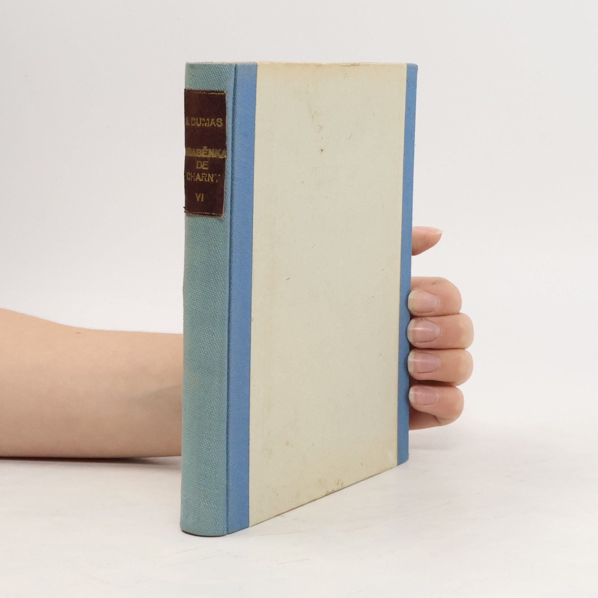 Alexandre Dumas Paměti lékařovy. Hraběnka de Charny VI.