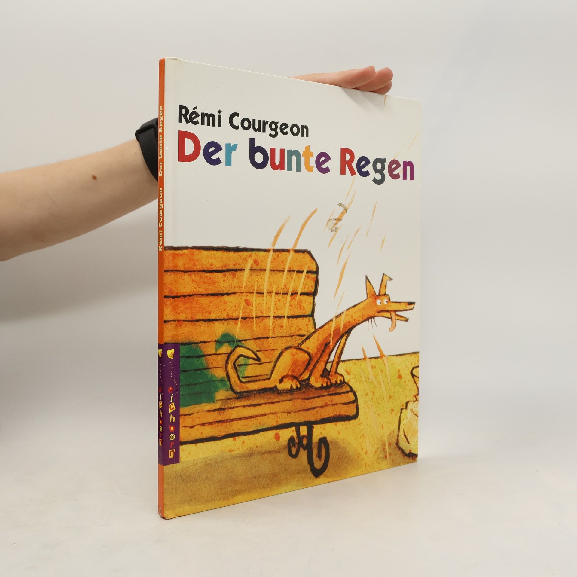 REMI COURGEON Der bunte Regen