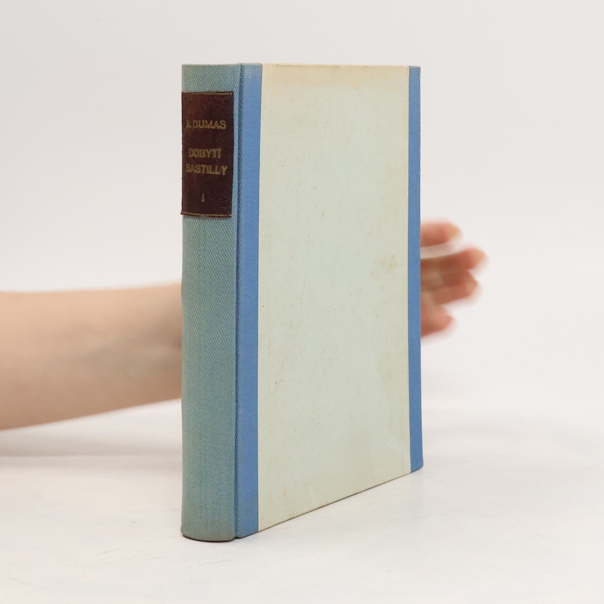 Alexandre Dumas Dobytí Bastilly