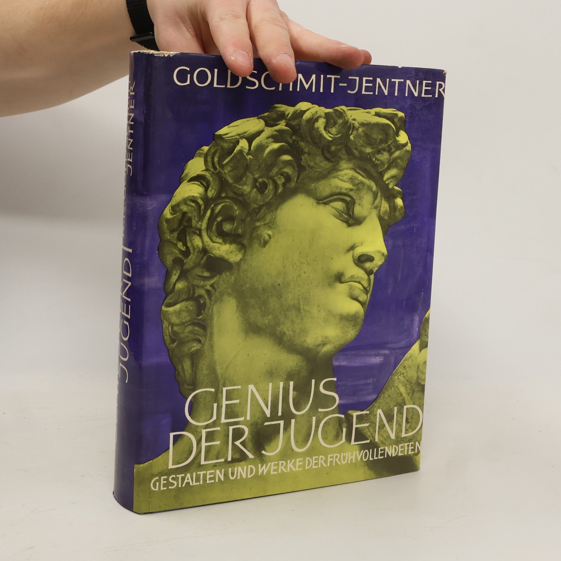Rudolf Karl Goldschmit-Jentner Genius der Jugend