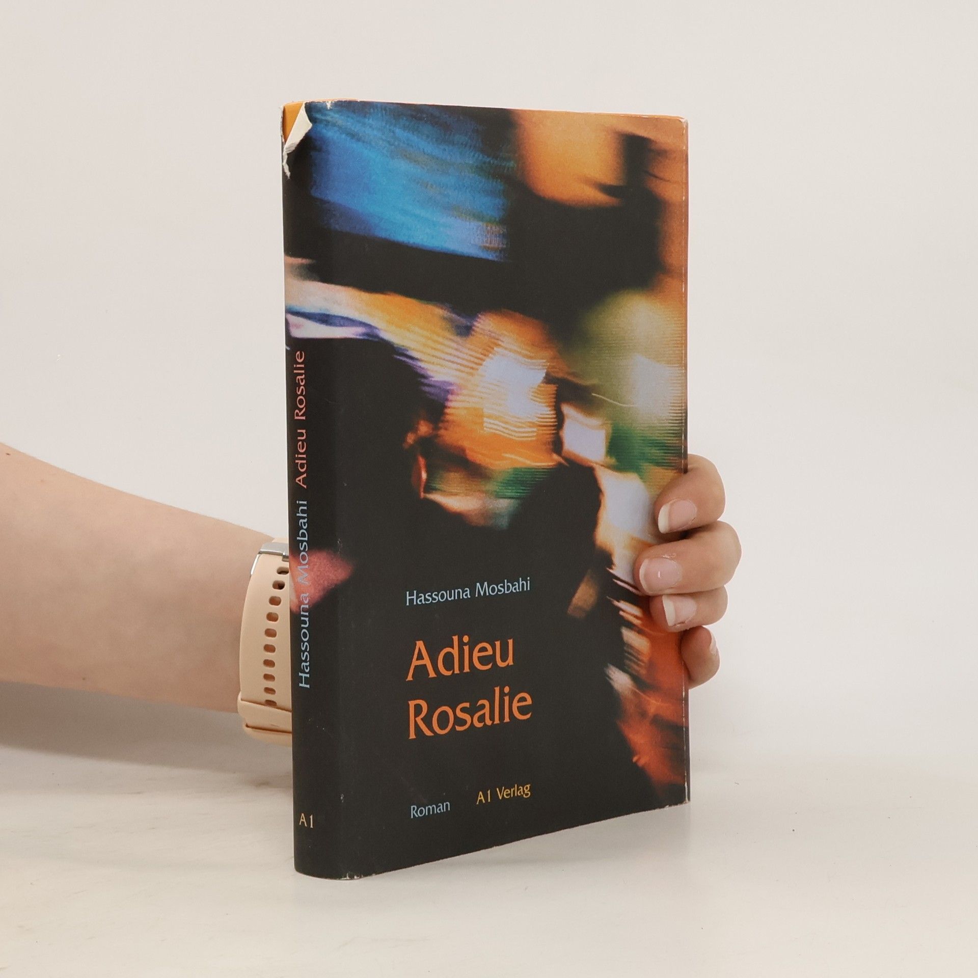 Hassouna Mosbahi Adieu Rosalie