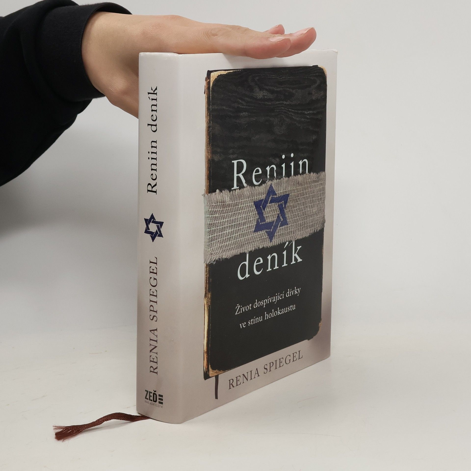 Renia Spiegel Reniin deník : život dospívající dívky ve stínu holokaustu
