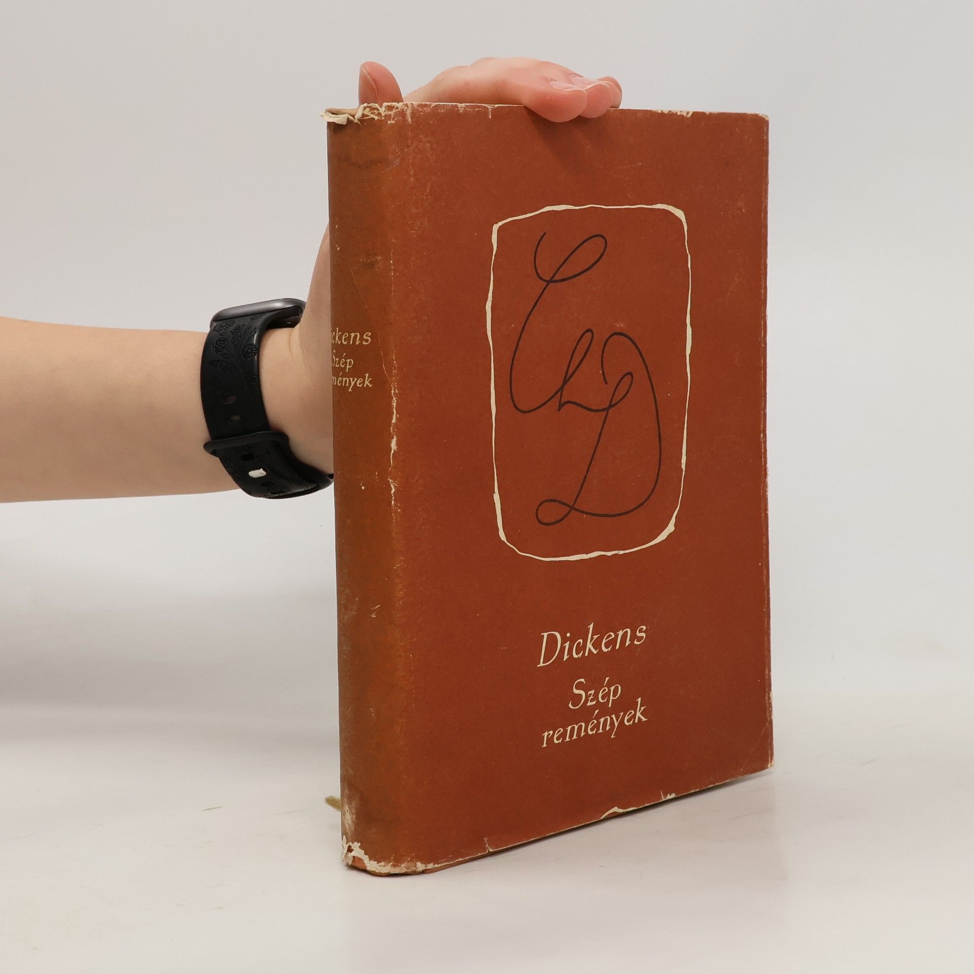 Charles Dickens Szép remények