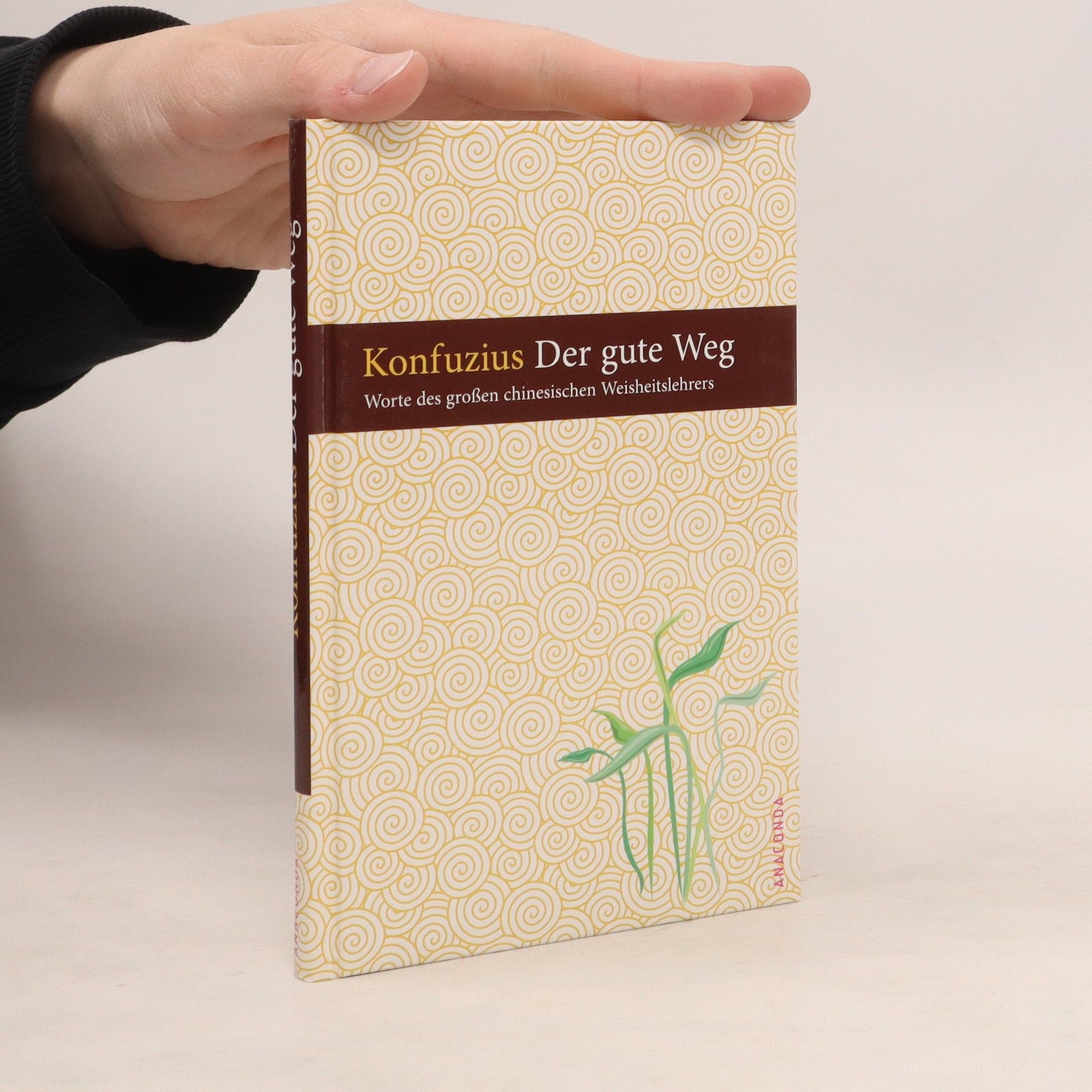 Qiu Kong Der gute Weg