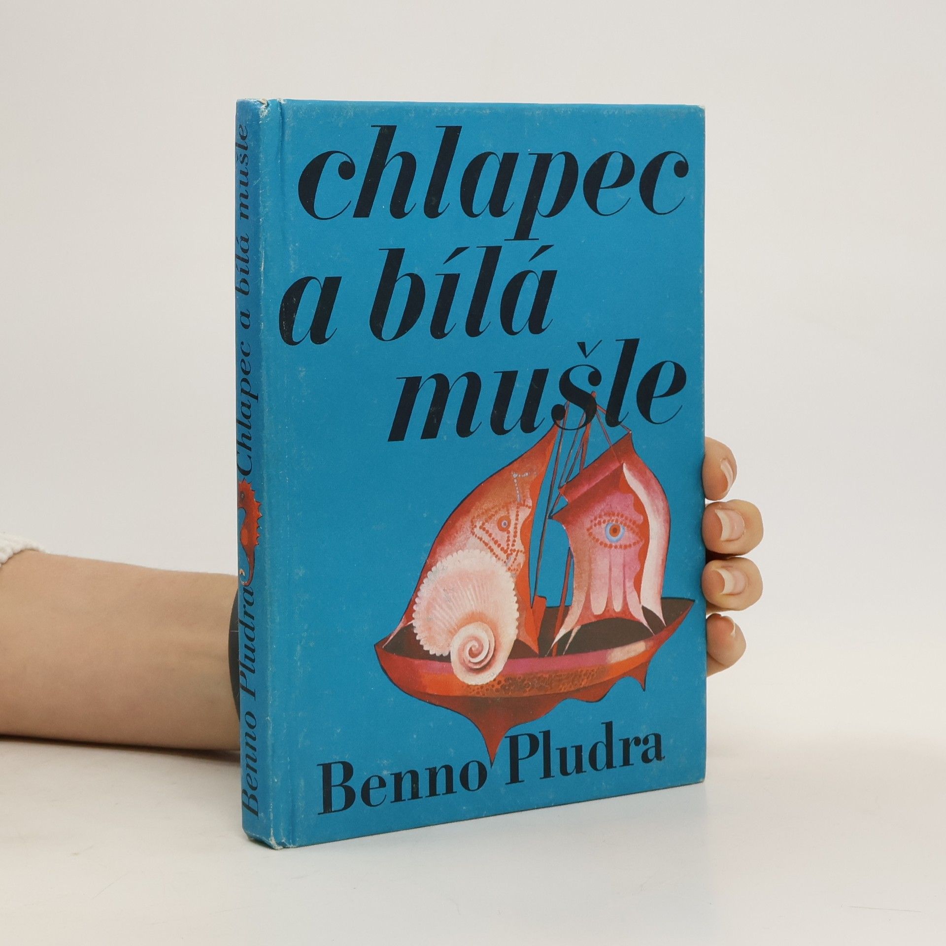 Benno Pludra Chlapec a bílá mušle