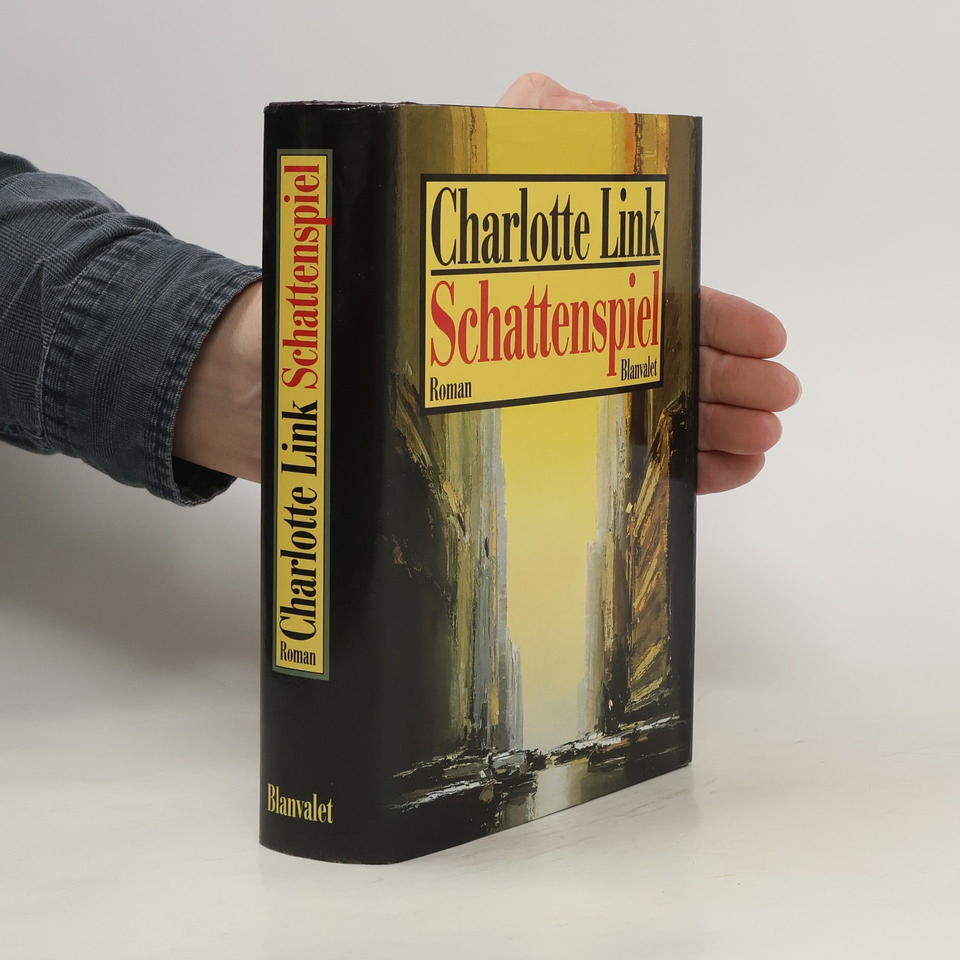 Charlotte Link Schattenspiel