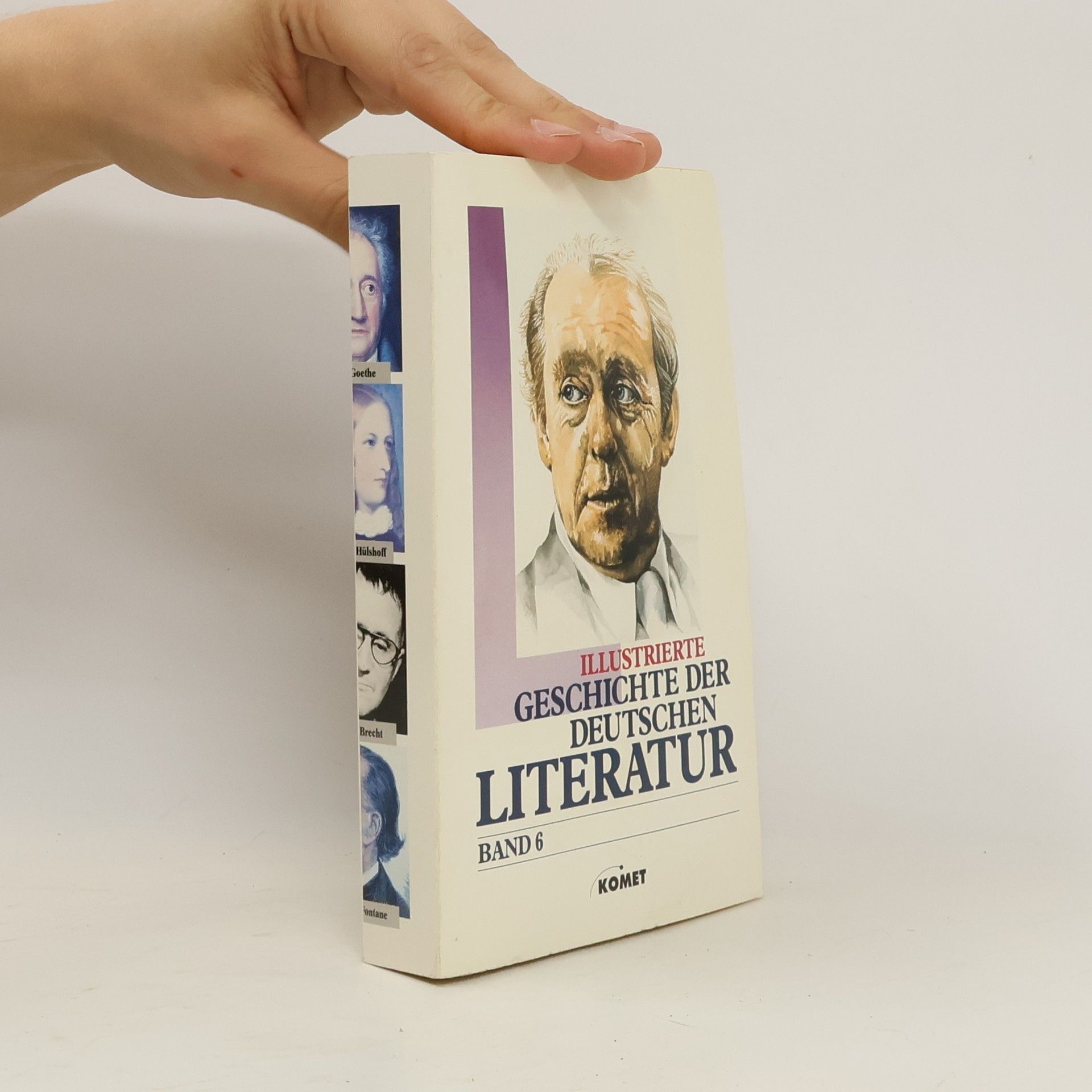 Anselm Salzer Illustrierte Geschichte der deutschen Literatur Band 6