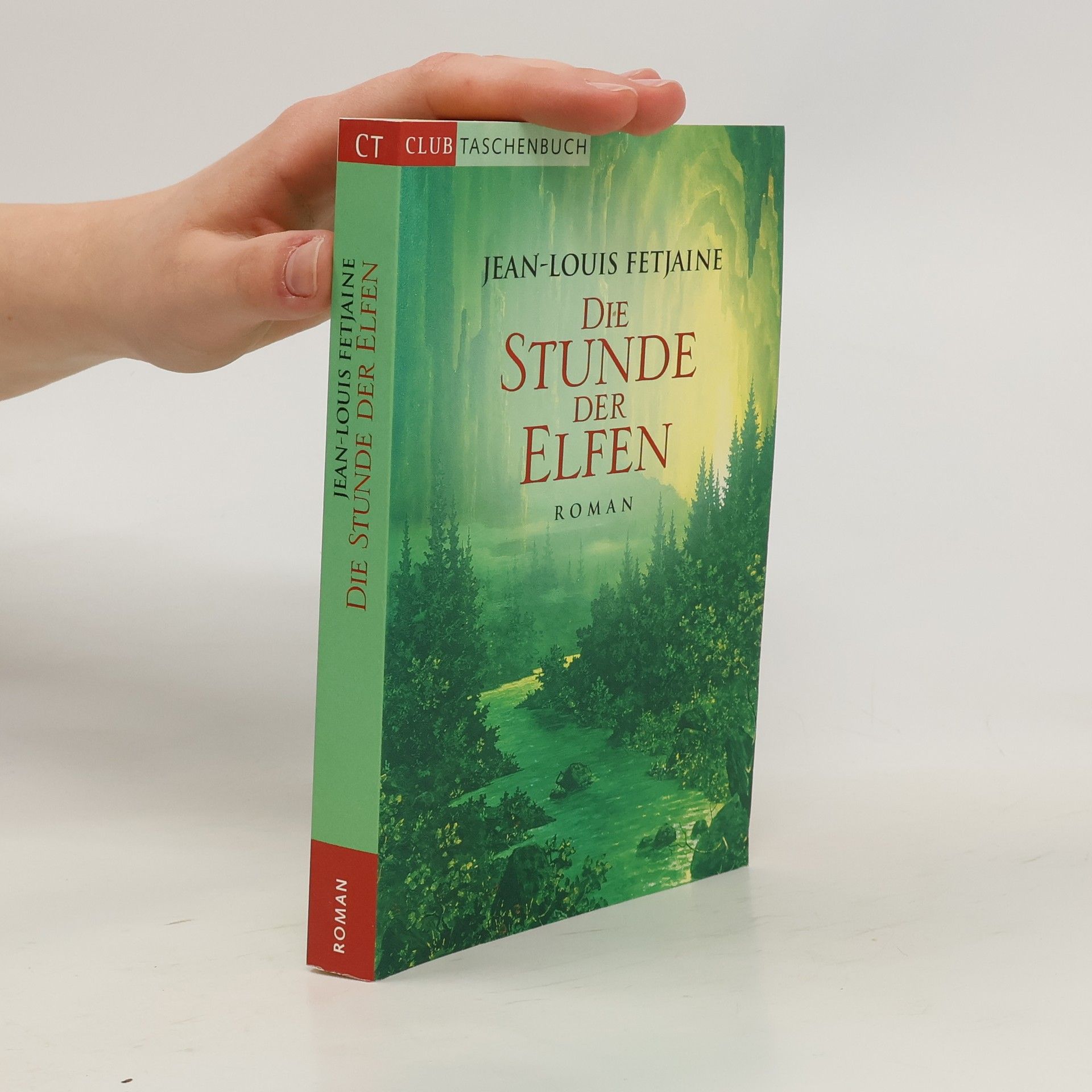 Jean-Louis Fetjaine Die Stunde der Elfen
