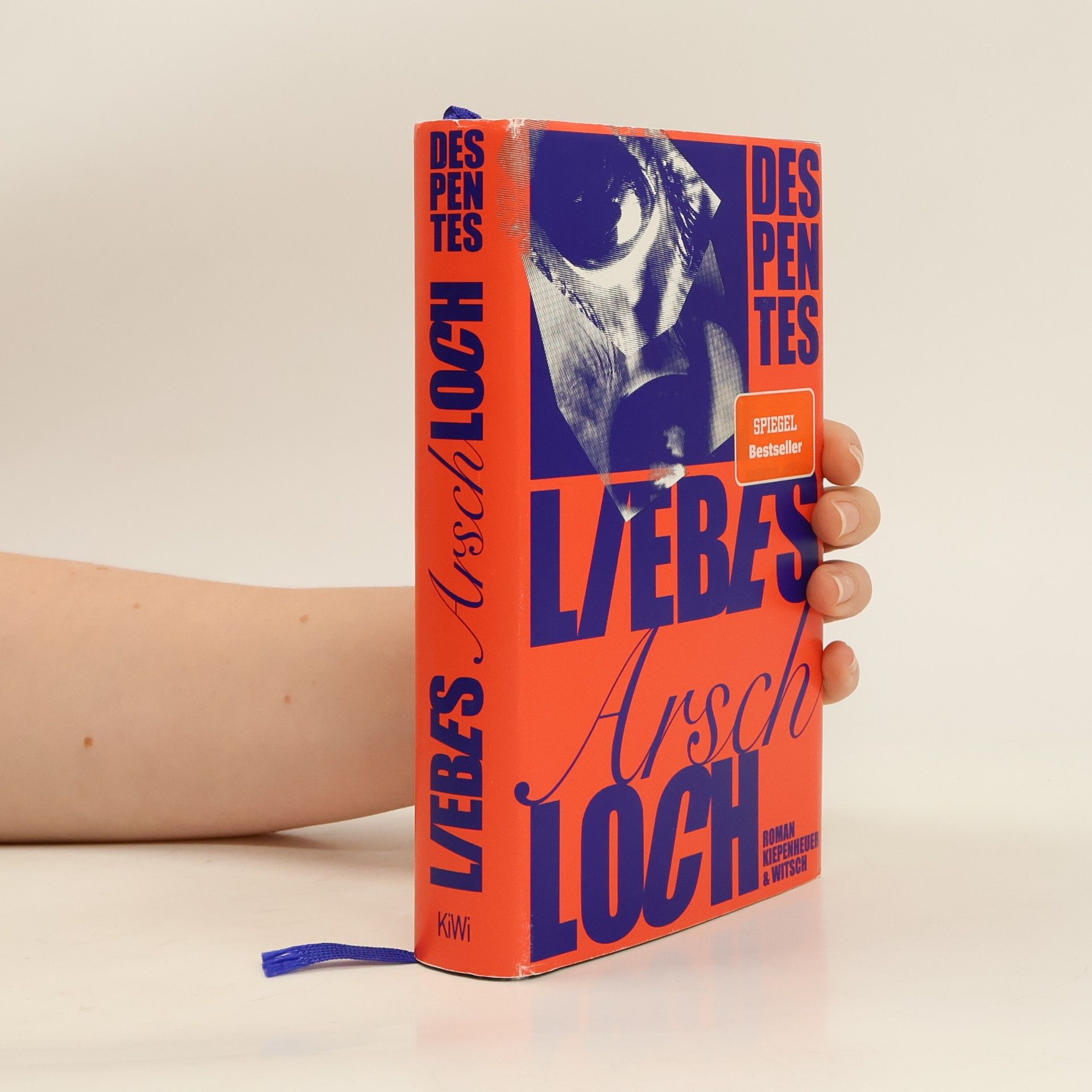Virginie Despentes Liebes Arschloch