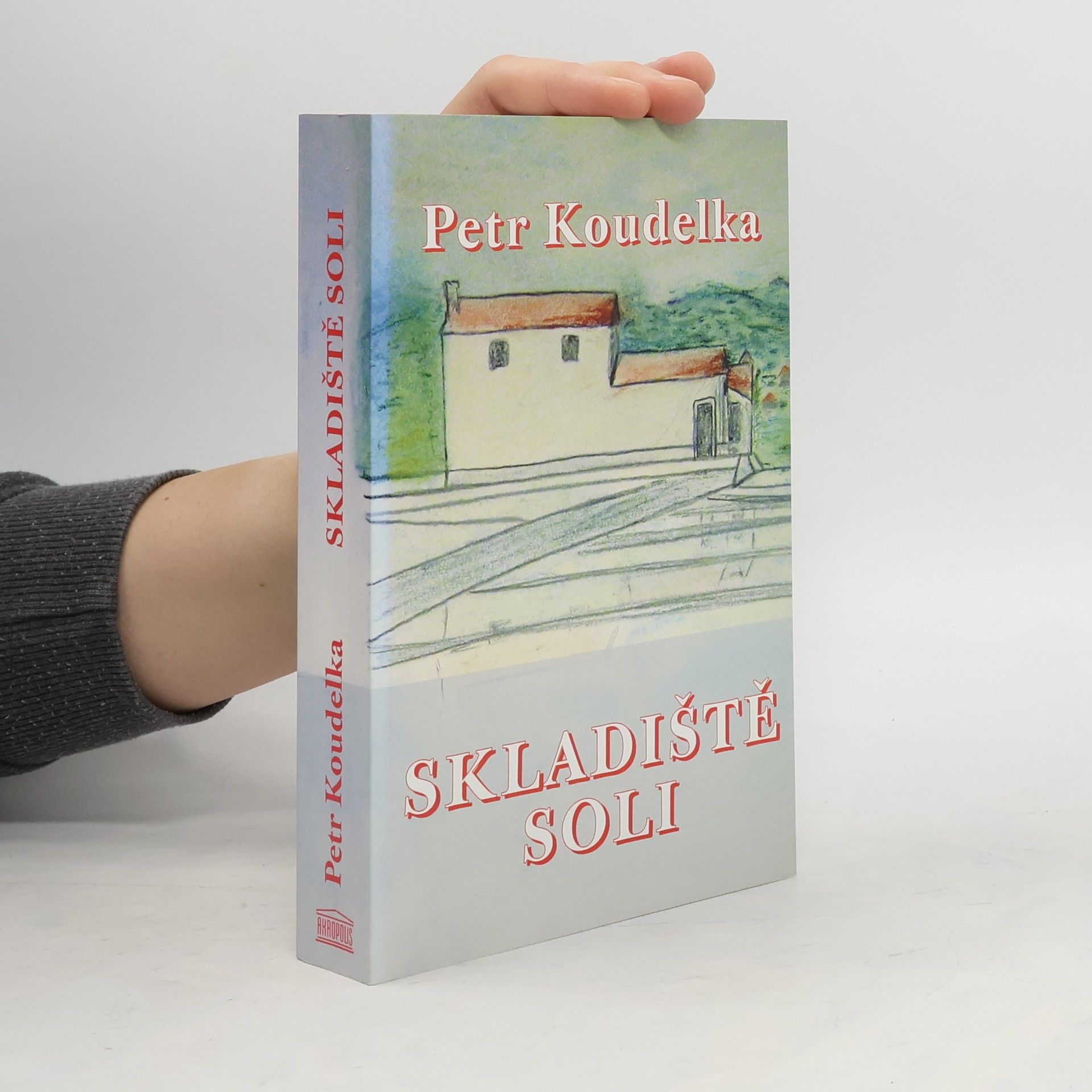 Petr Koudelka Skladiště soli