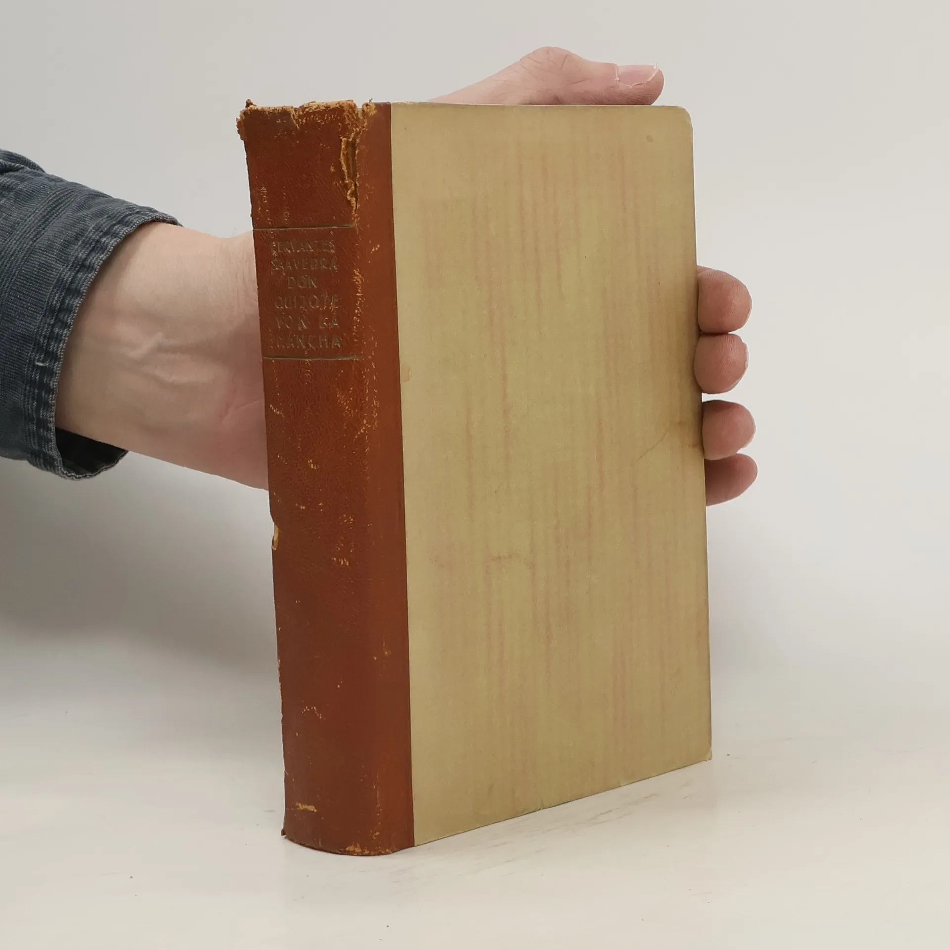 Don Quijote von la Mancha  | Libro | Copertina rigida | Miguel de Cervantes Saavedra | DE