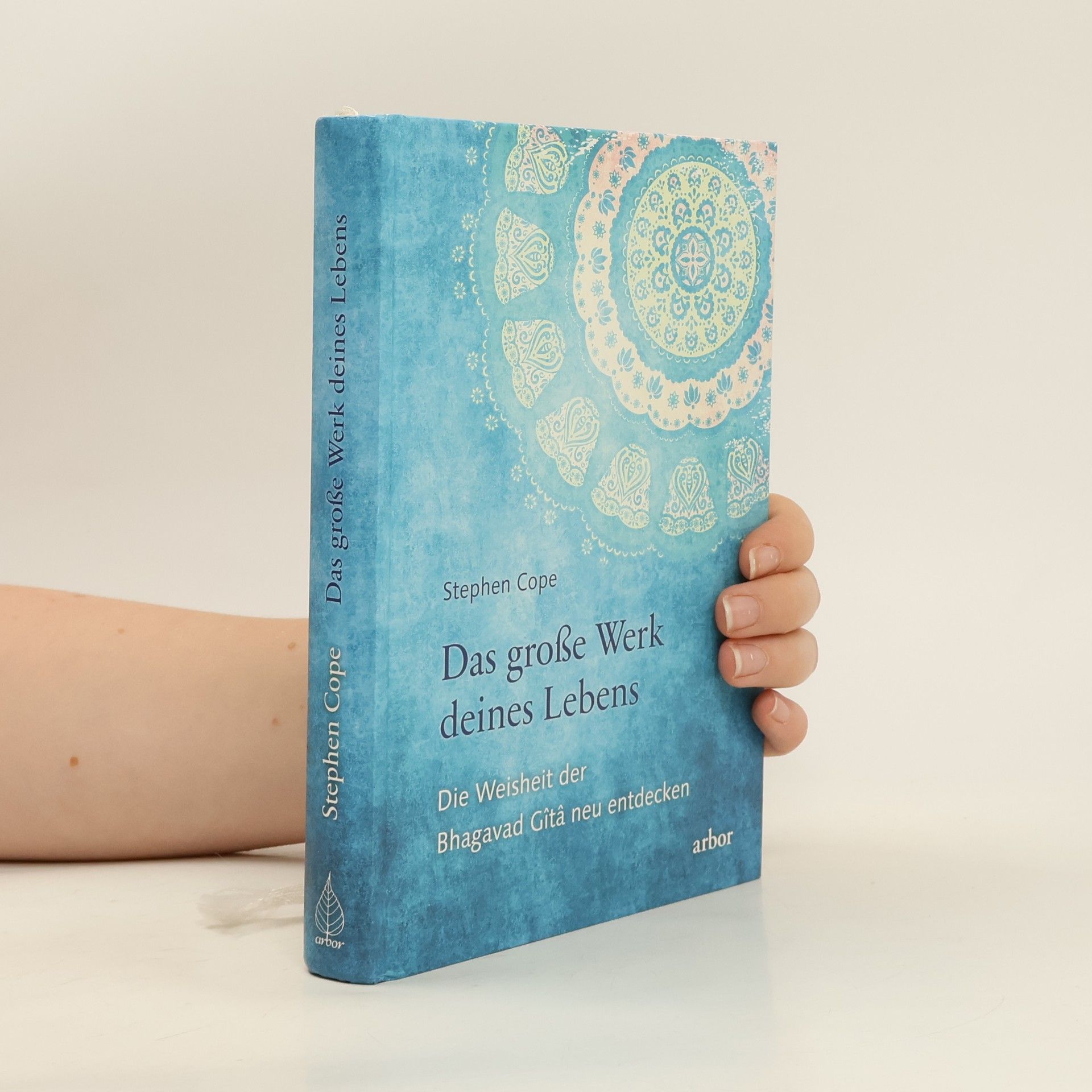 Stephen Cope Das große Werk deines Lebens