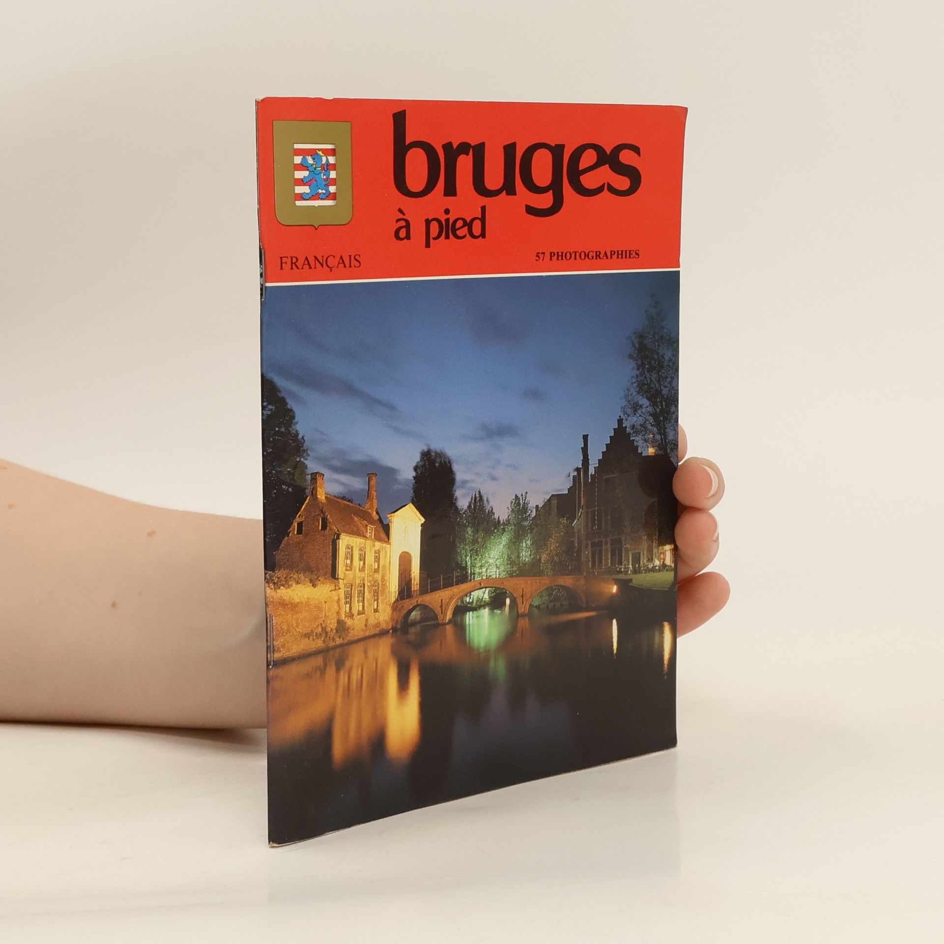 Autores varios Bruges á pied