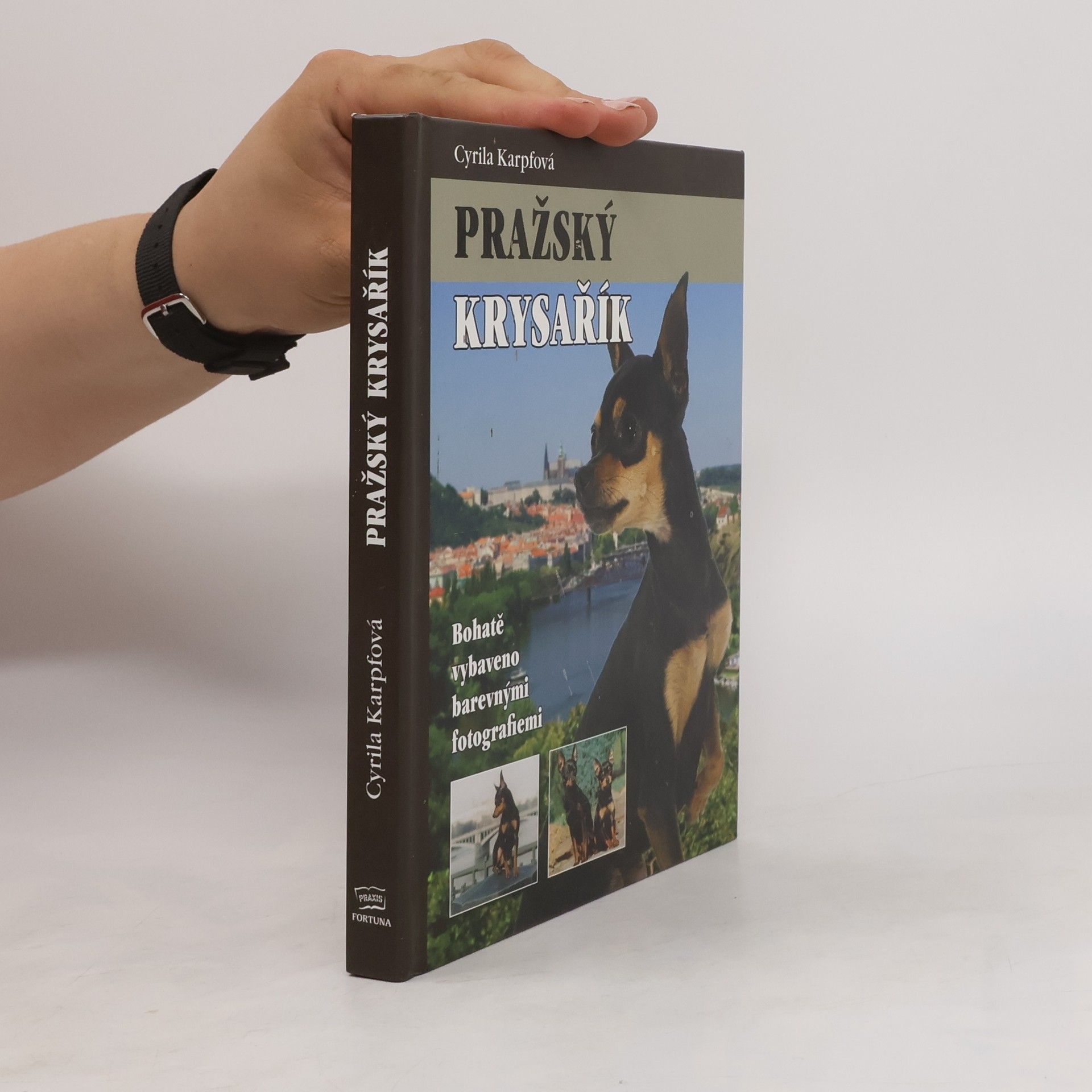 Cyrila Karpfová Pražský krysařík