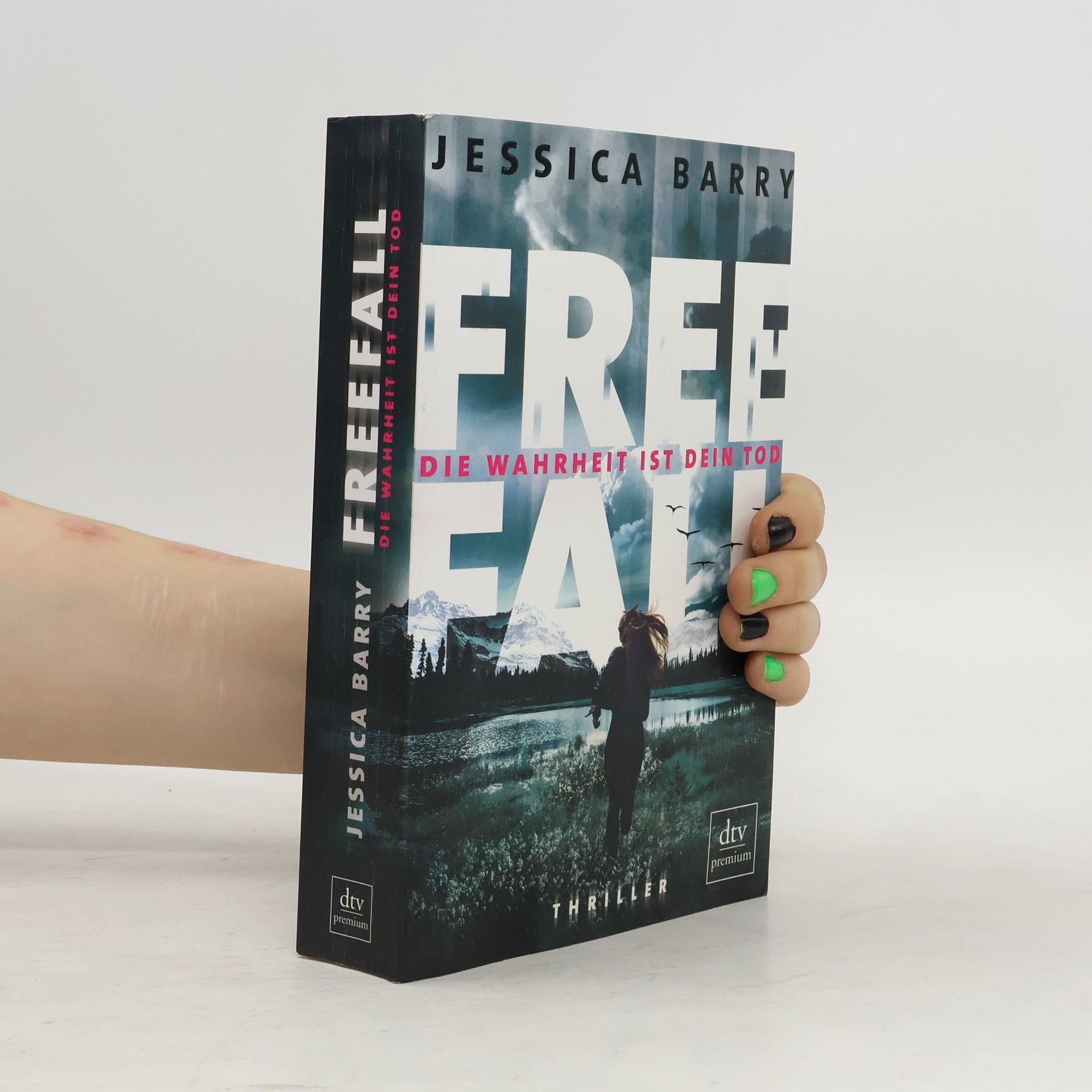 Jessica Barry Freefall – die Wahrheit ist dein Tod