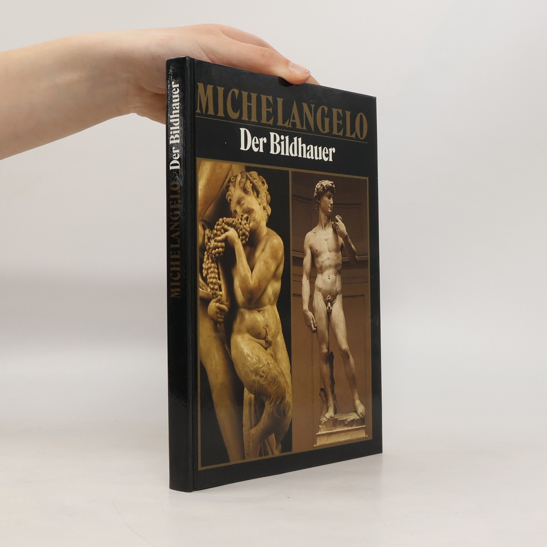 Michelangelo Buonarroti Michelangelo. Der Bildhauer. Der Maler. Der Architekt. Sein schöpferisches Leben und Werk.