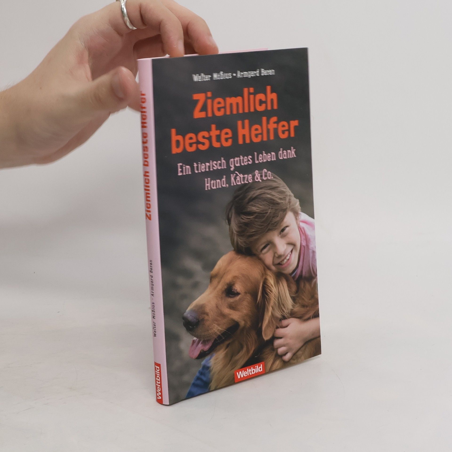 Walter Möbius Ziemlich beste Helfer