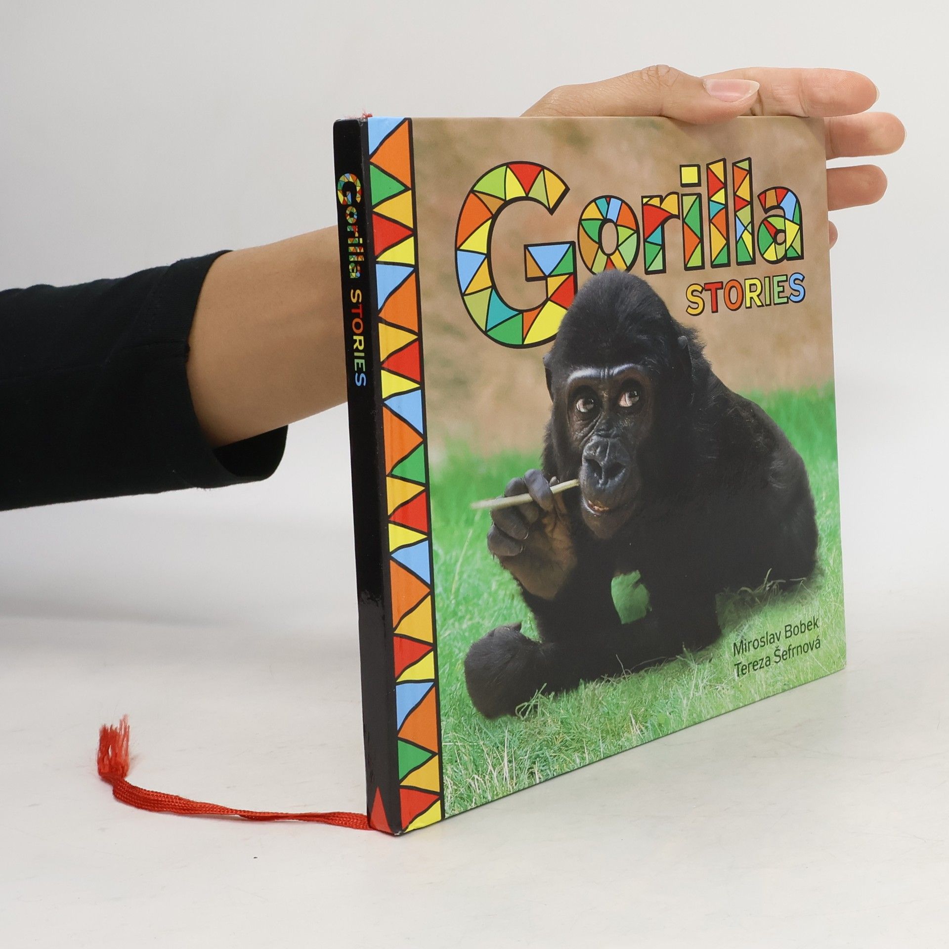 Miroslav Bobek Gorilla Stories