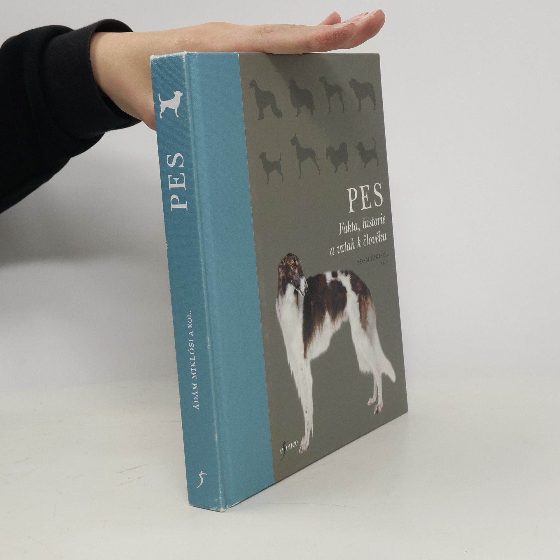 Various authors Pes