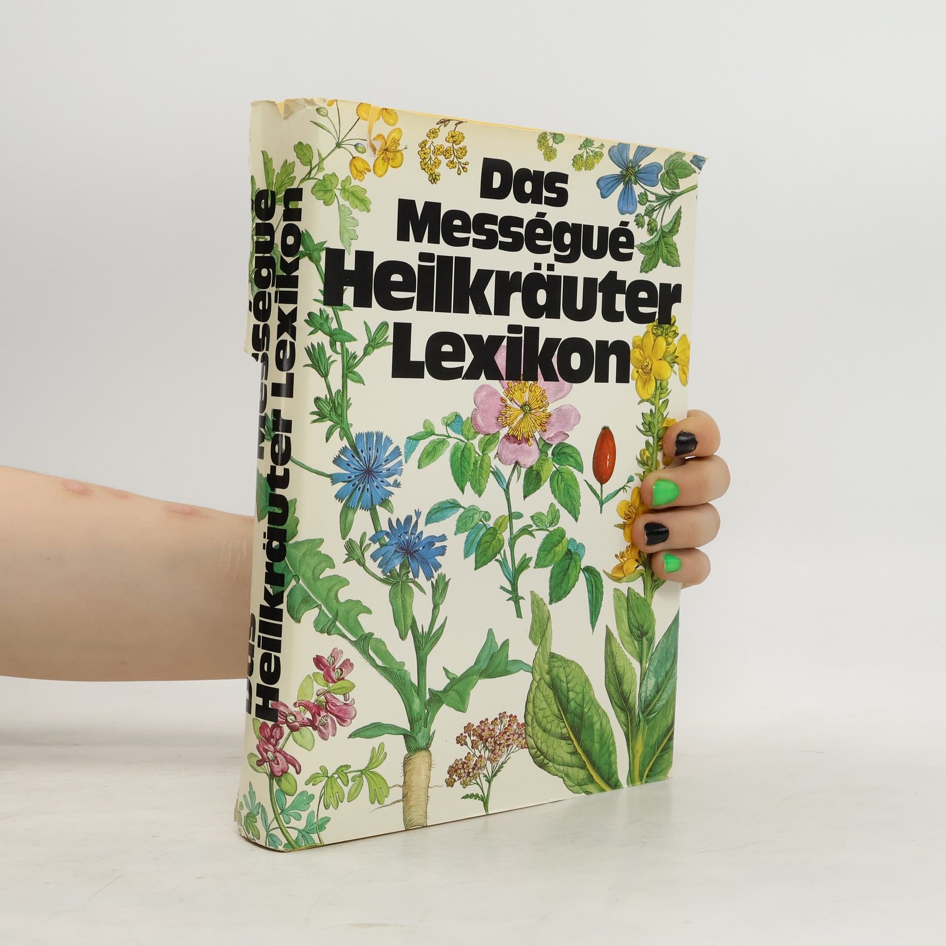 Maurice Mességué Das Mességué Heilkräuter Lexikon