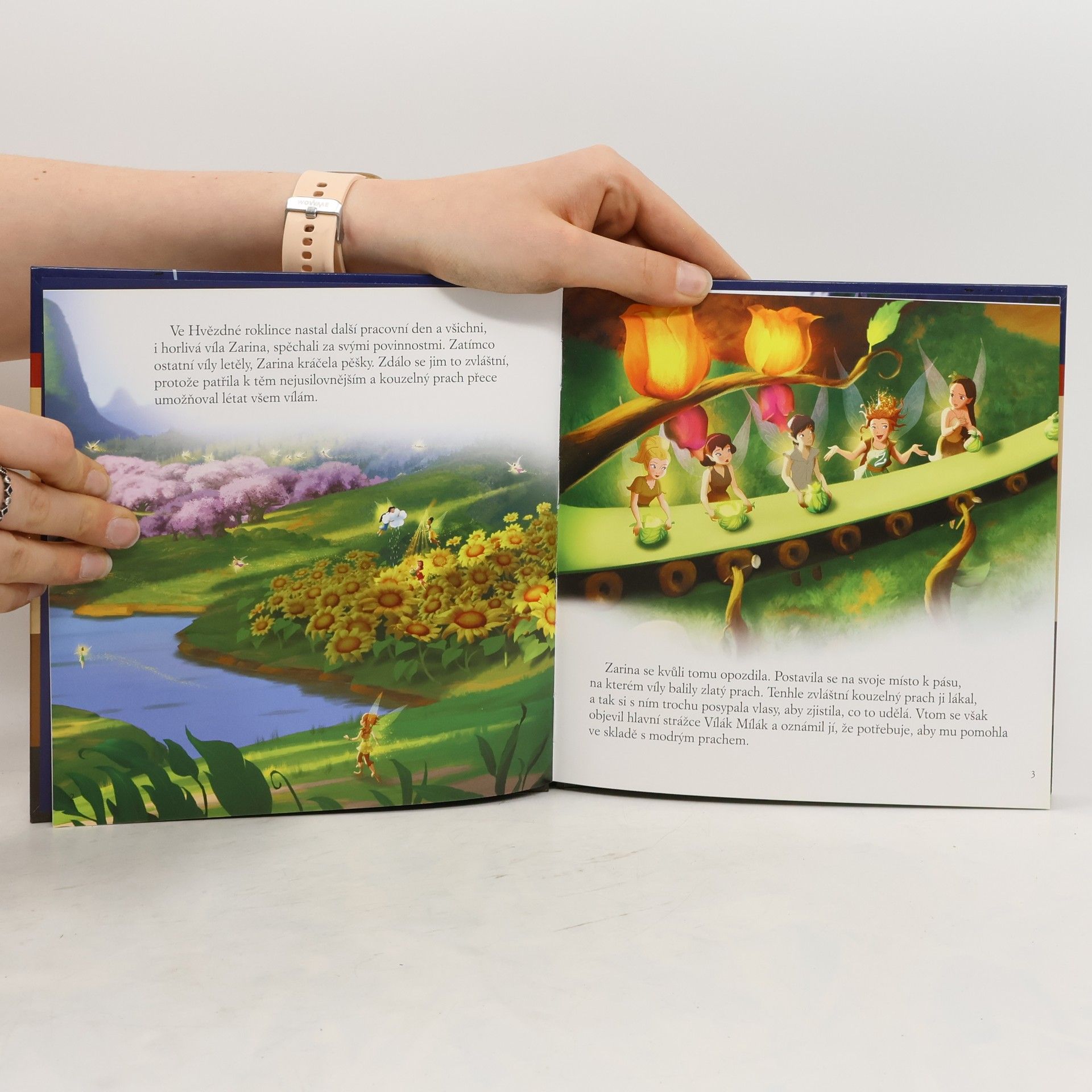 Walt Disney Zvonilka a piráti - Vílí dobrodružství