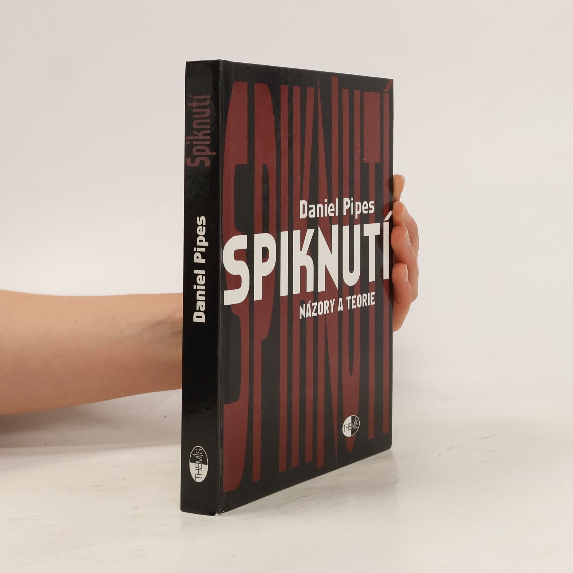 Daniel Pipes Spiknutí : názory a teorie
