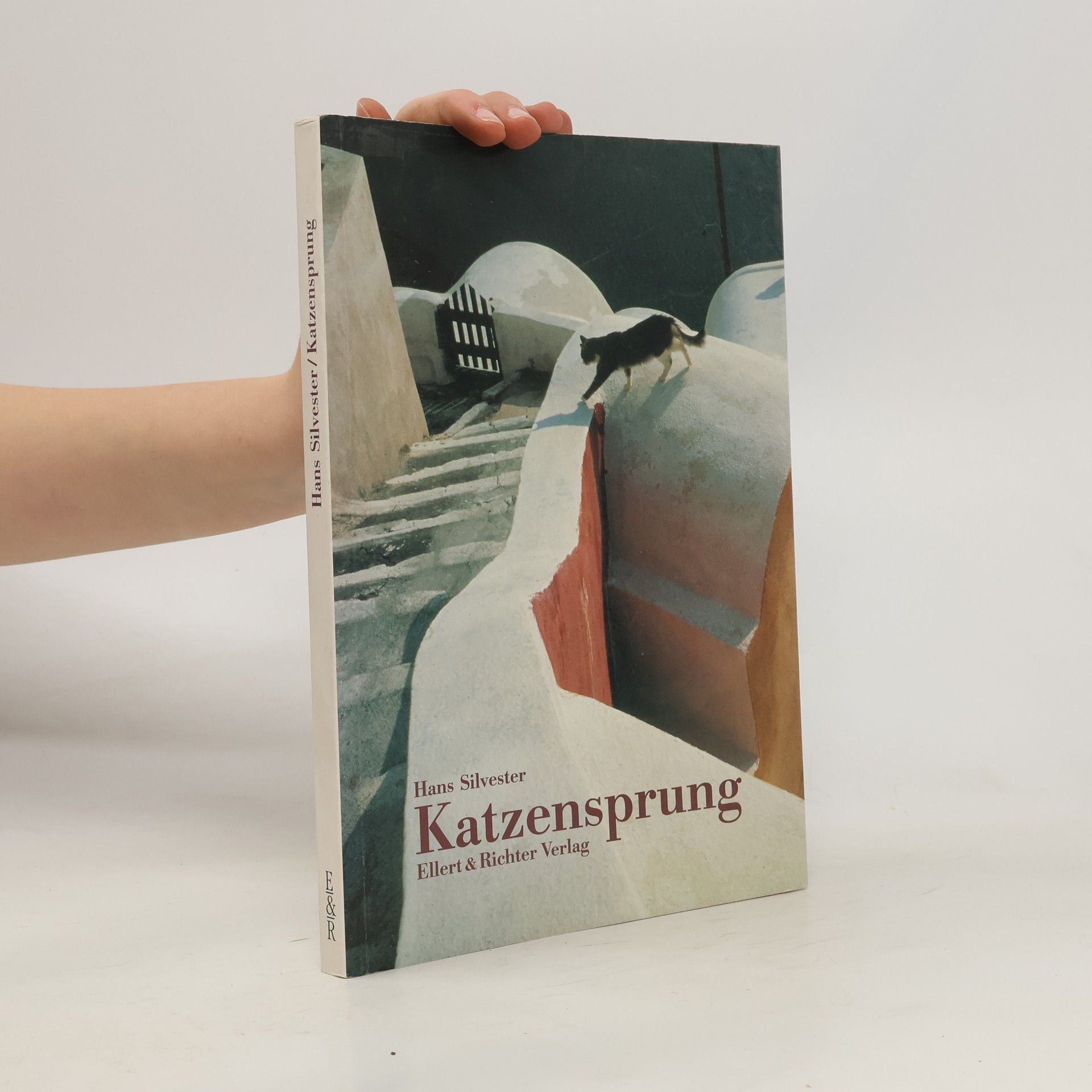 Hans Silvester Katzensprung