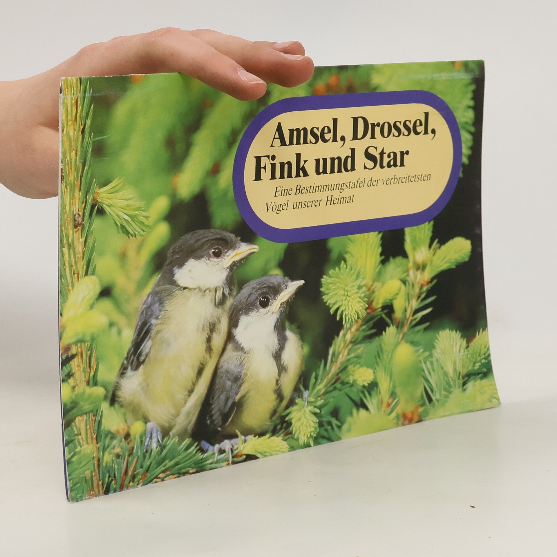 Autores varios Amsel, Drossel, Fink und Star
